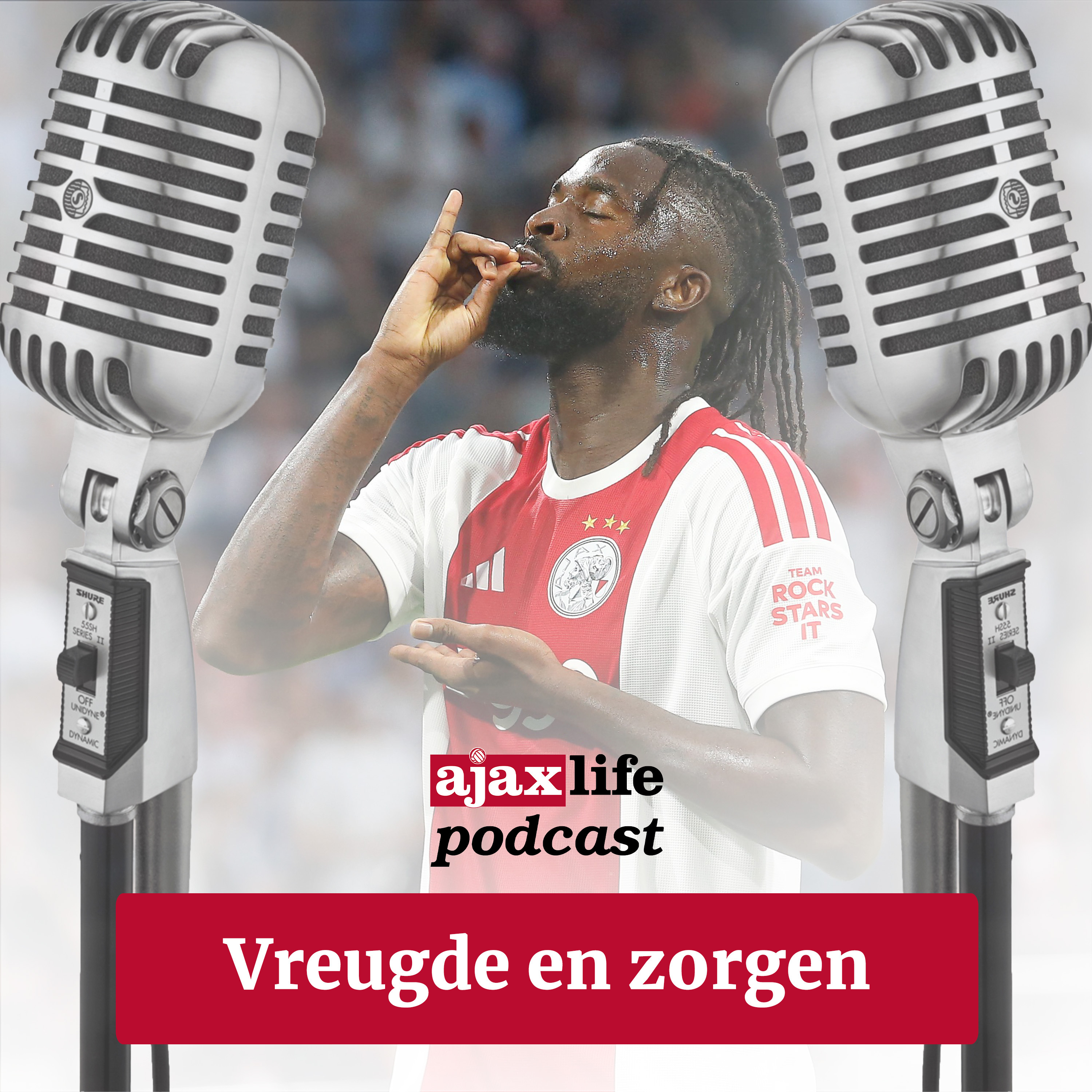 #256 - Vreugde en zorgen episode artwork
