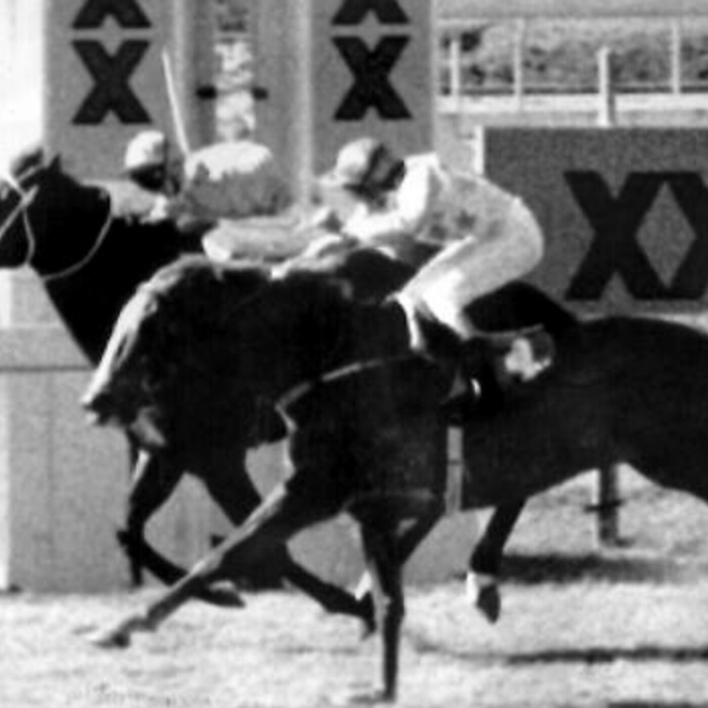 124 - The Fine Cotton Scandal - (Live w/Wil Anderson)