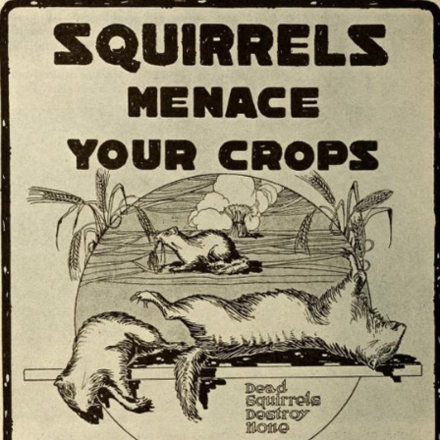 386 - The War on Squirrels