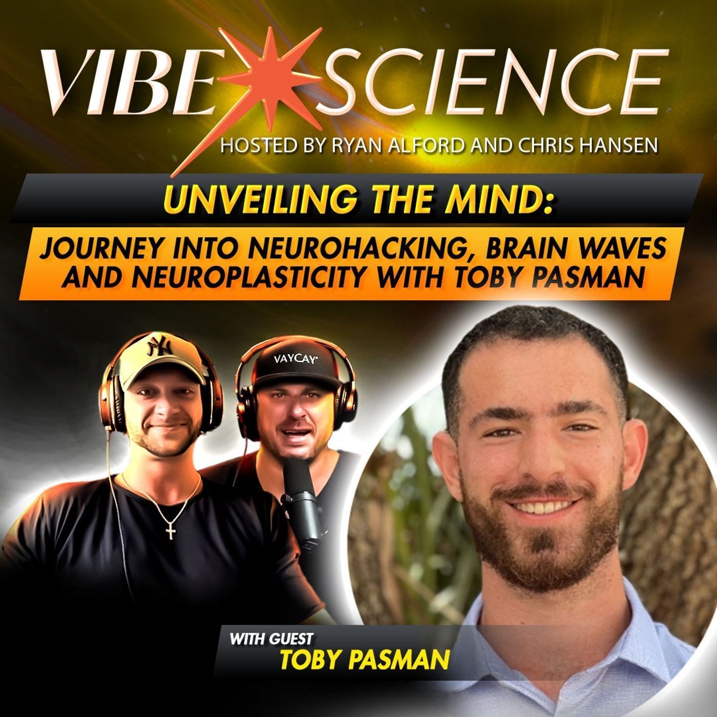 THE VIBE SCIENCE PODCAST