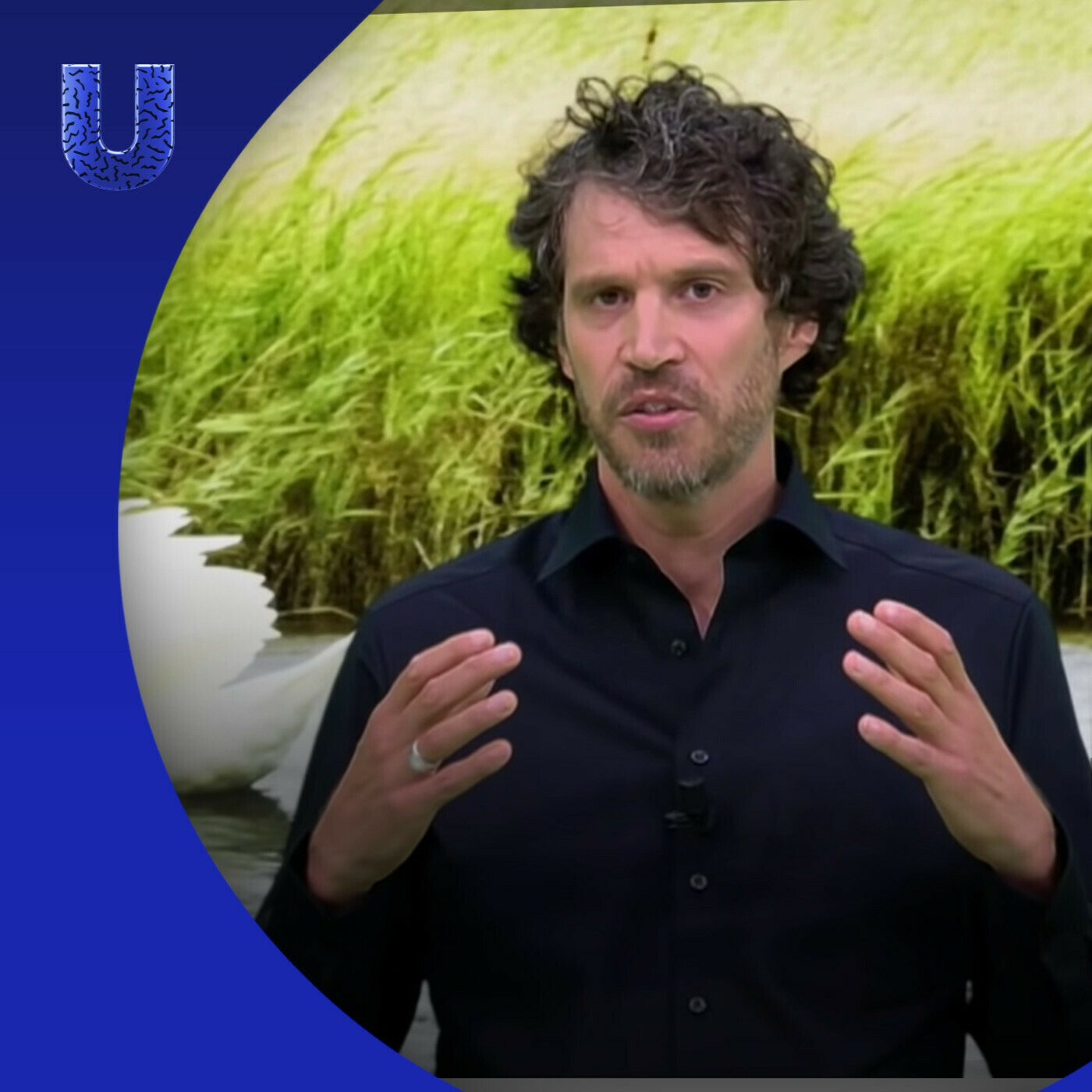 De Universiteit van Nederland Podcast