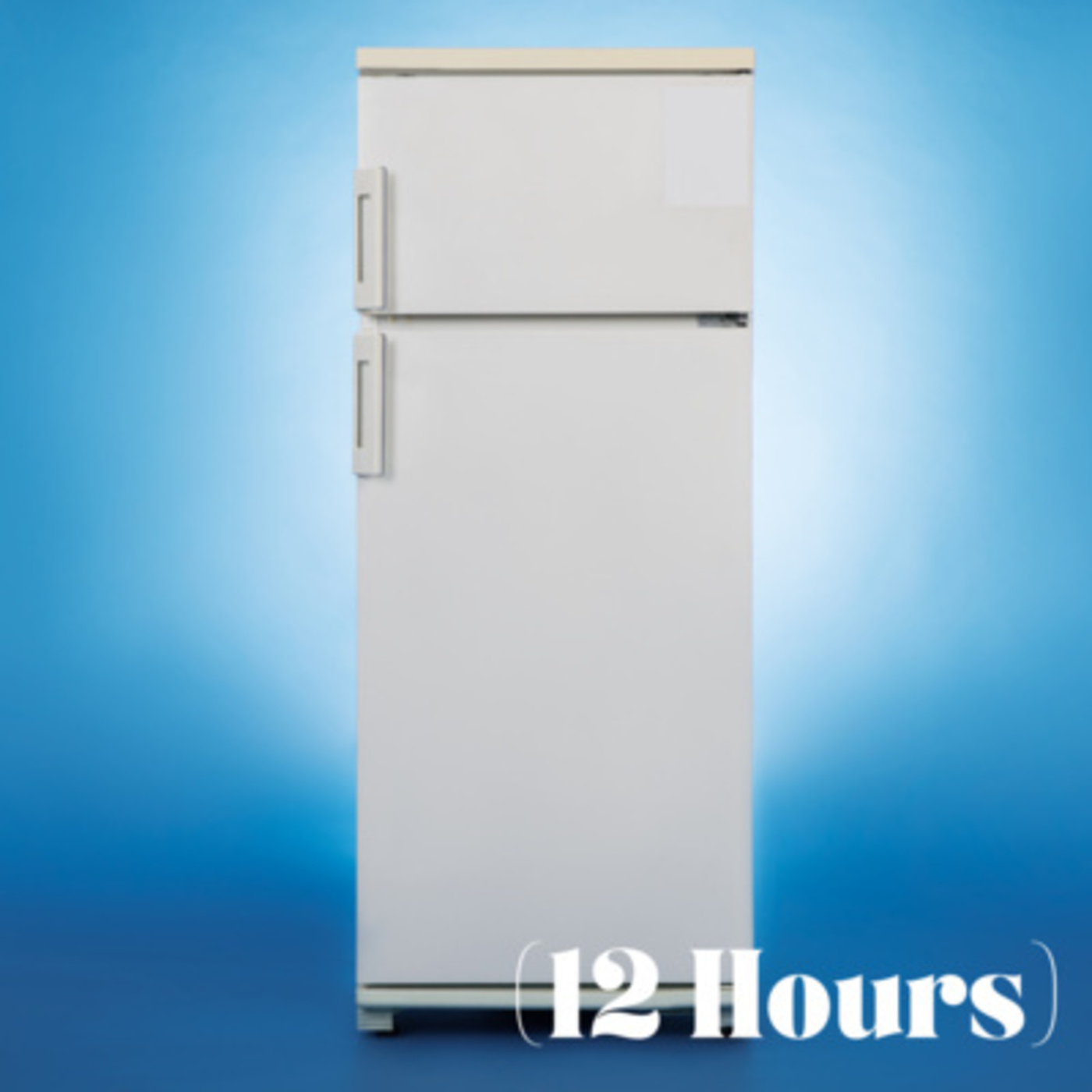 Refrigerator Humming with Birds Softly Chirping in Background | Sleep Sound (12 Hours)