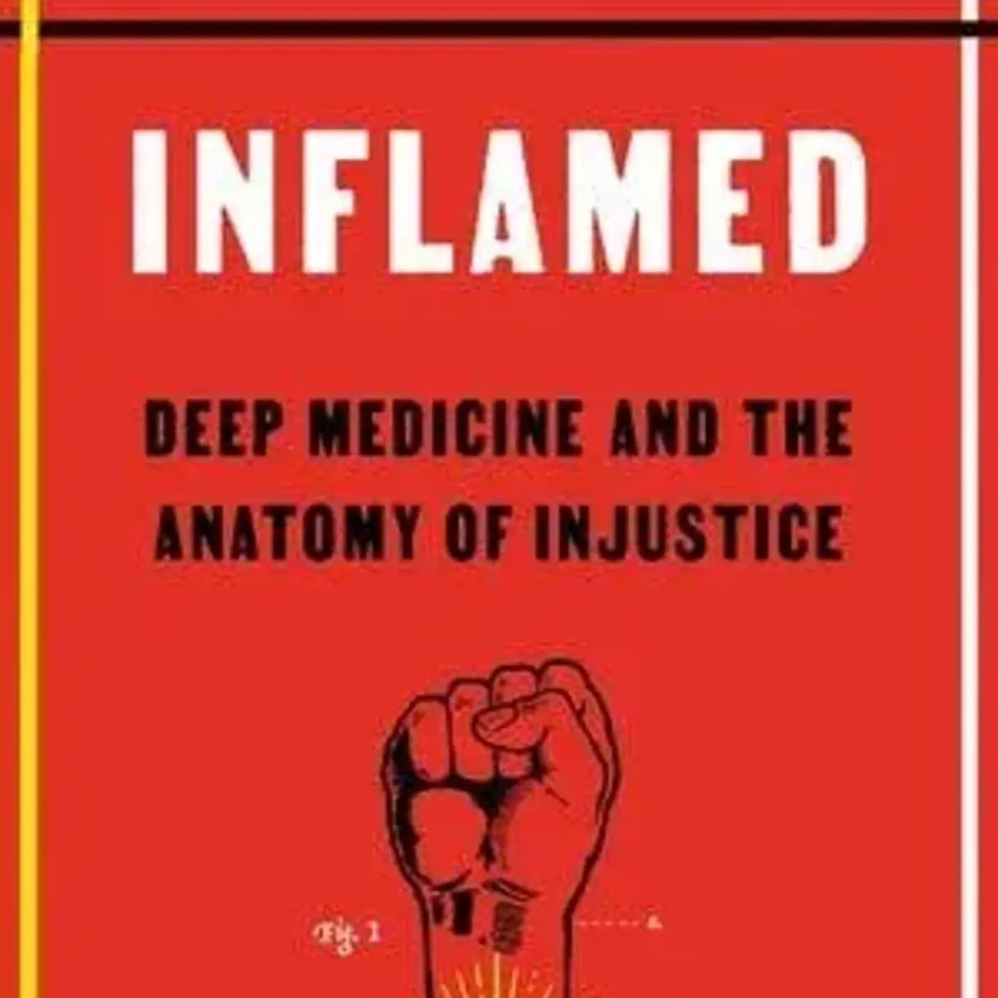 Episode 78: Inflamed- A Conversation with Dr. Rupa Marya & Professor Raj Patel episode artwork