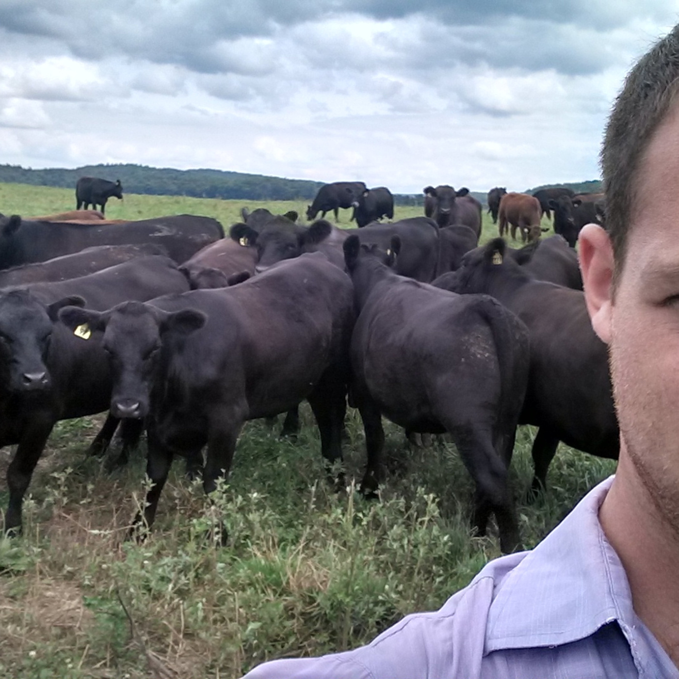Episode 118: Happy Meat: The Economy of Healthy People and Animals