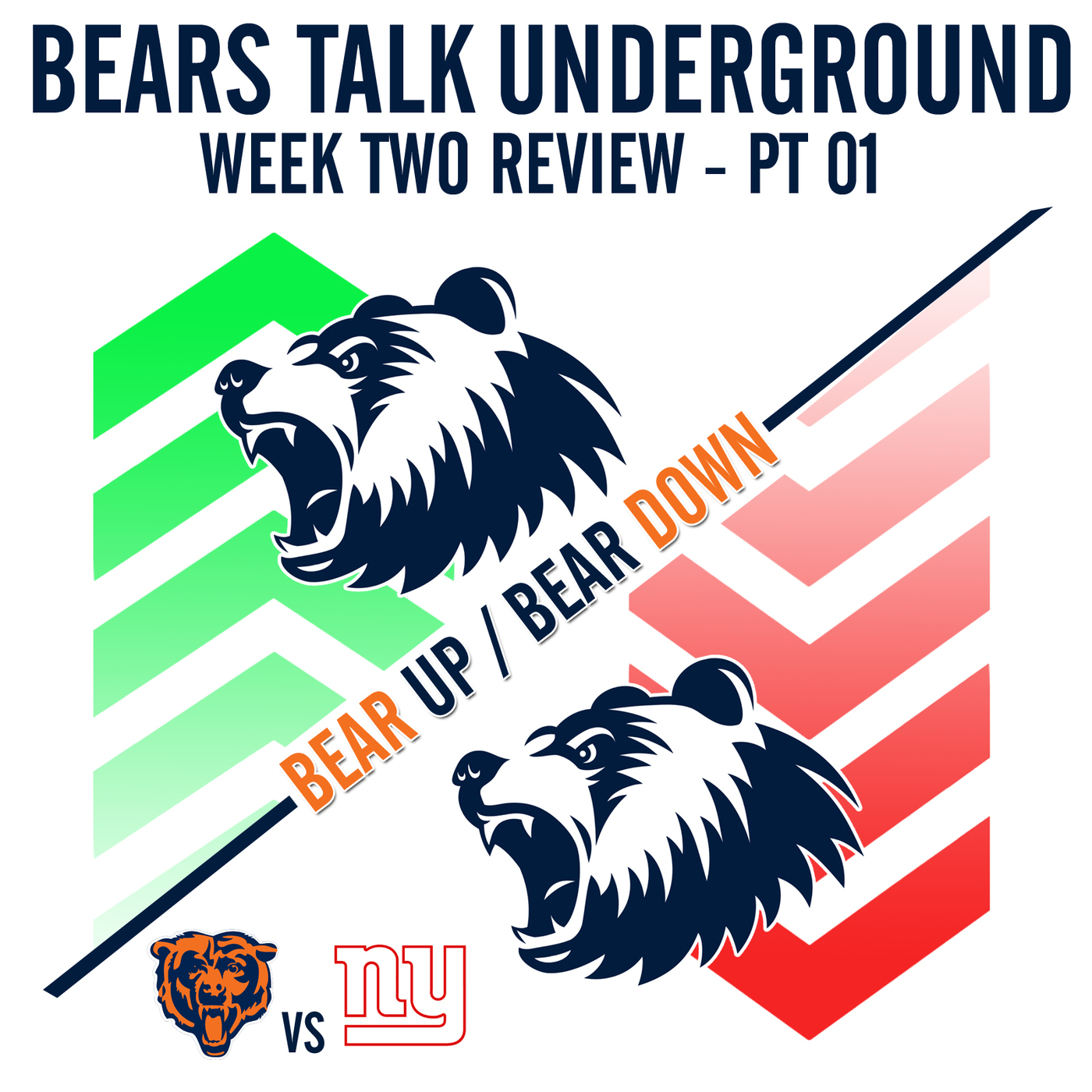 Week Two Review - Bear Up/Bear Down episode artwork