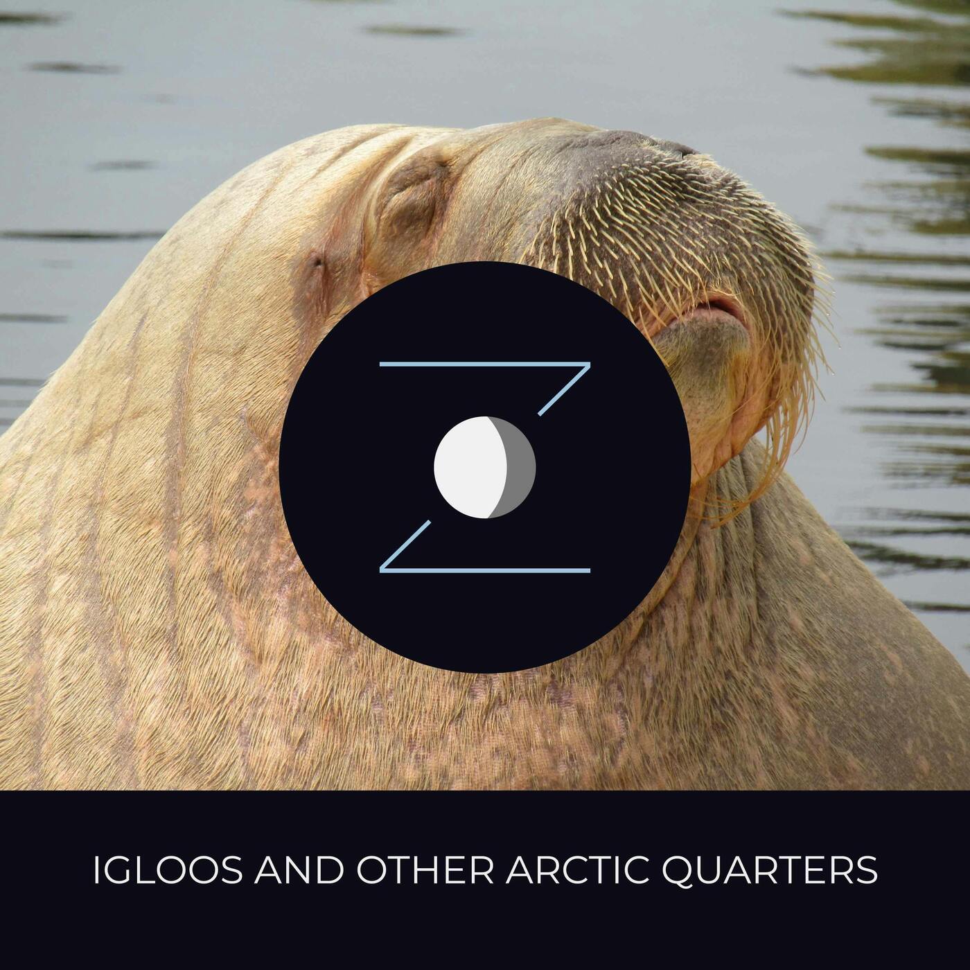 Igloos and Other Arctic Quarters episode artwork