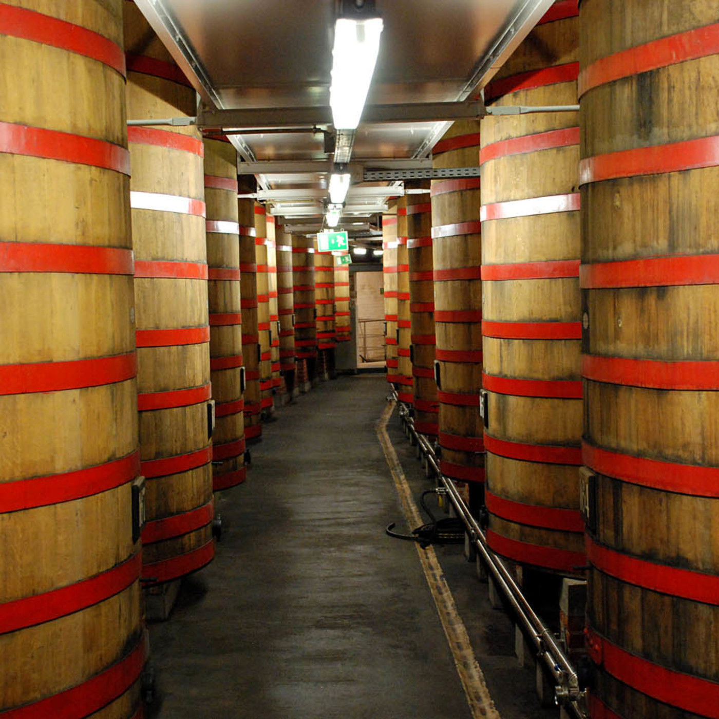 Episode 302: Special Rodenbach Recording episode artwork