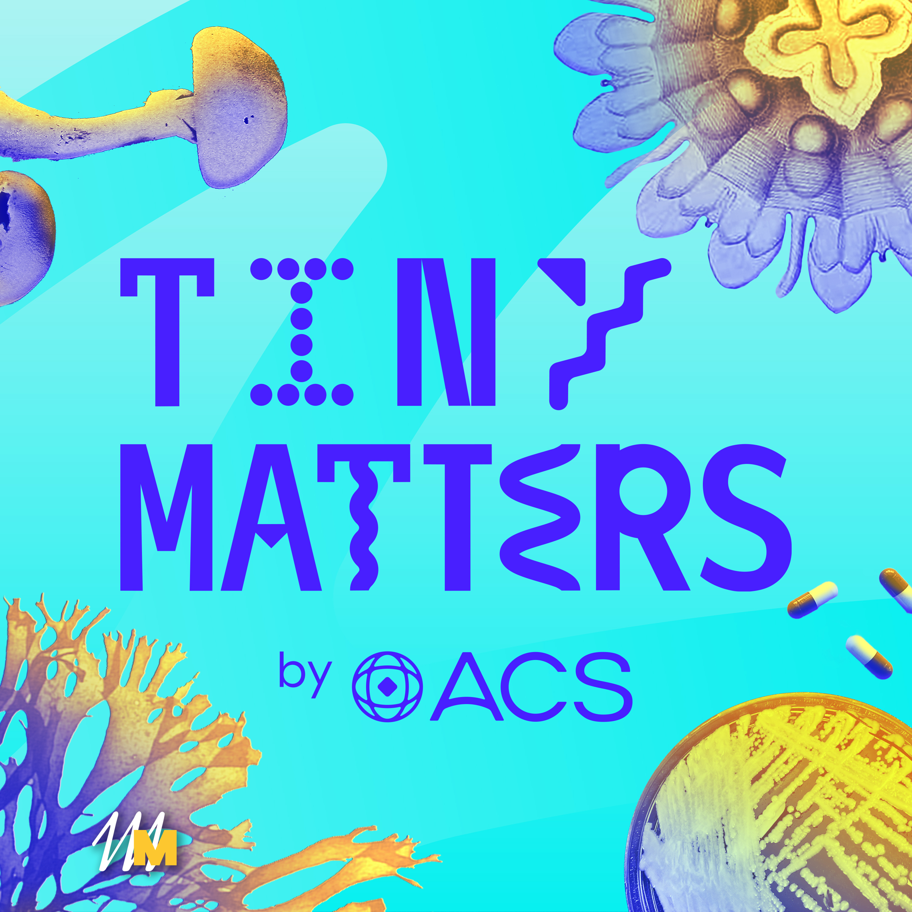 Win a Tiny Matters coffee mug ROUND TWO! Submit your questions! episode artwork