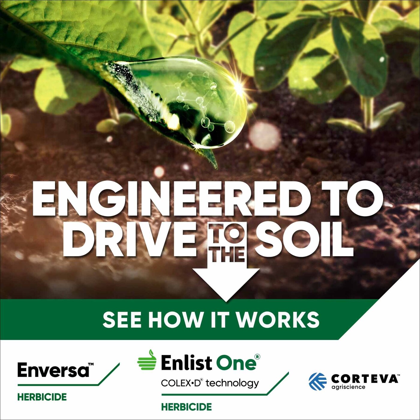 Strengthen Weed Control with Corteva’s Proven Residual Herbicides episode artwork