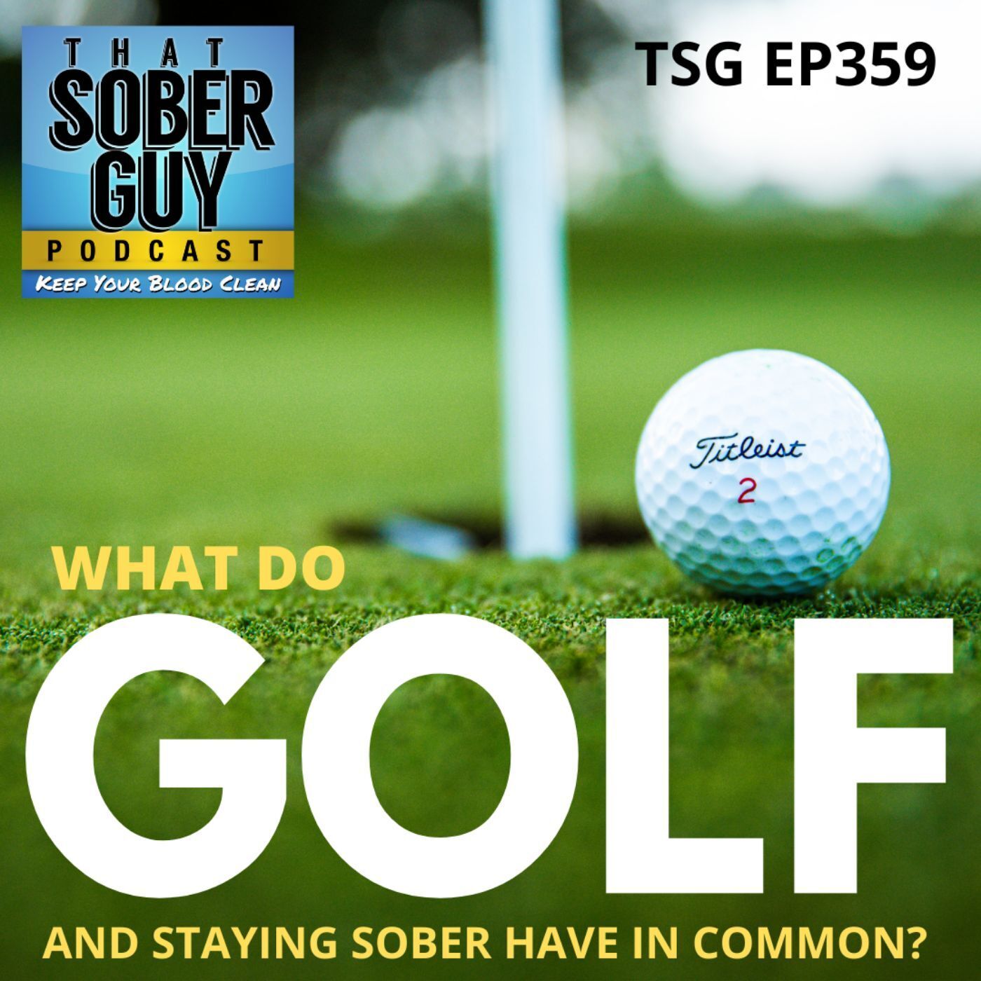 That Sober Guy Podcast