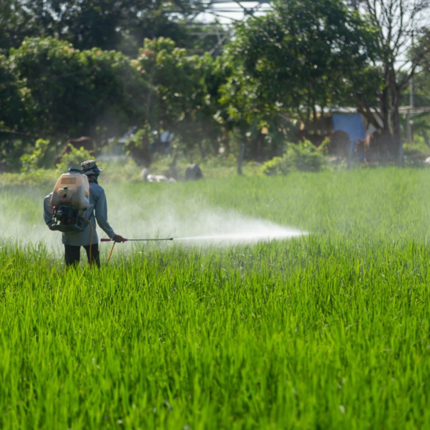 The Monsanto Papers