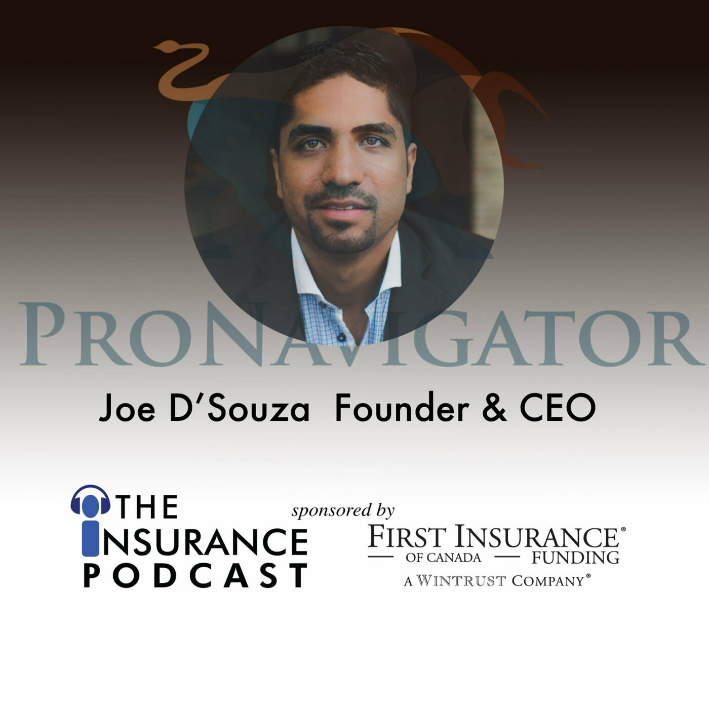 Joe D'Souza Founder and CEO-Pro Navigator Image