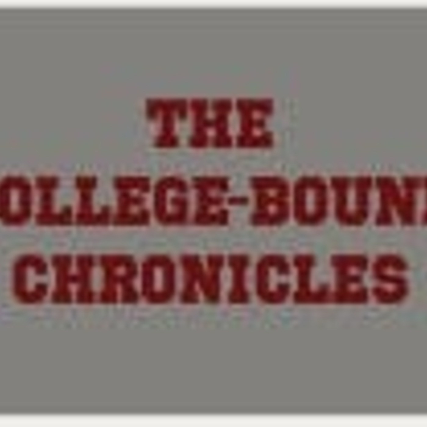 The Chaos Chronicles: Modern Motherhood with a Laugh