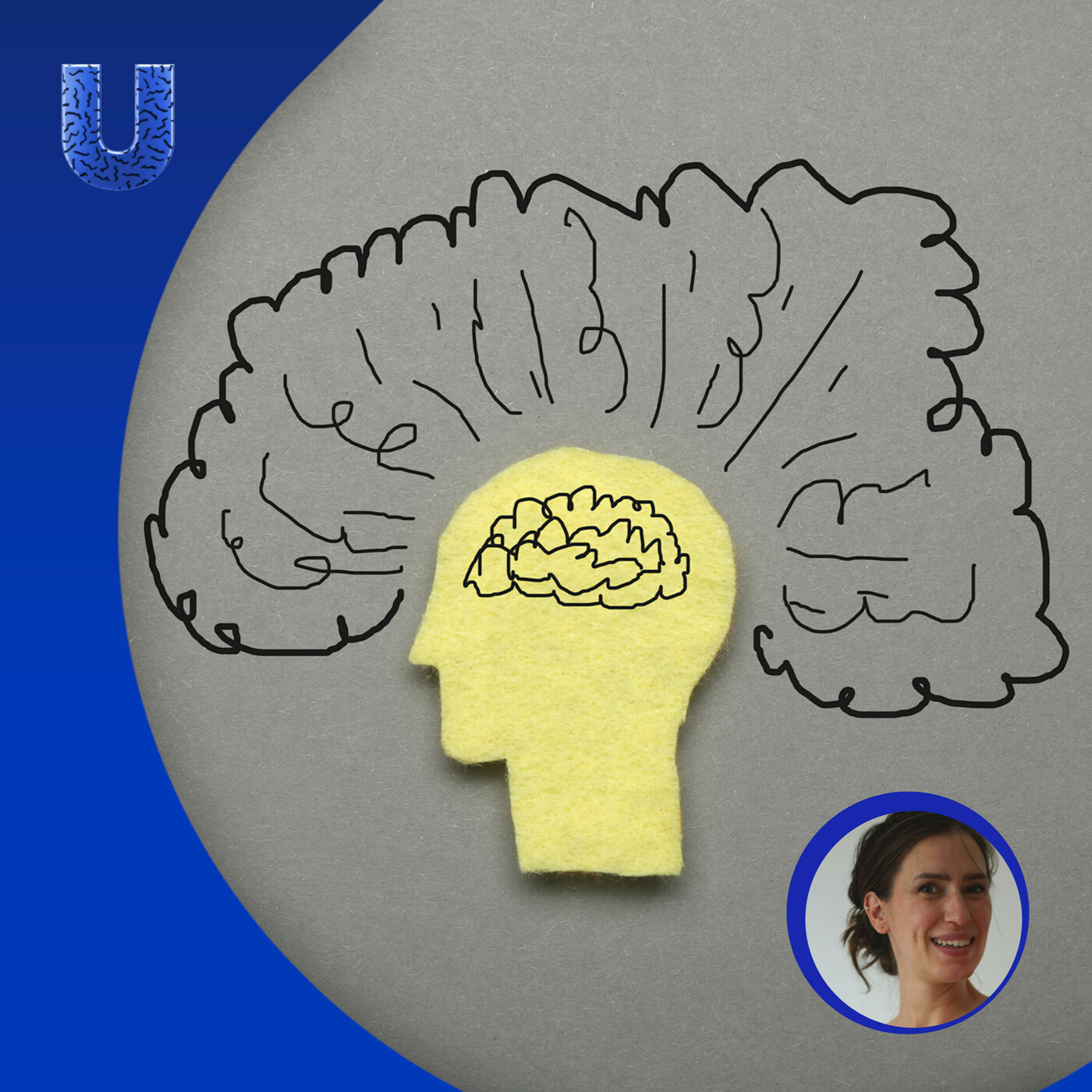 De Universiteit van Nederland Podcast