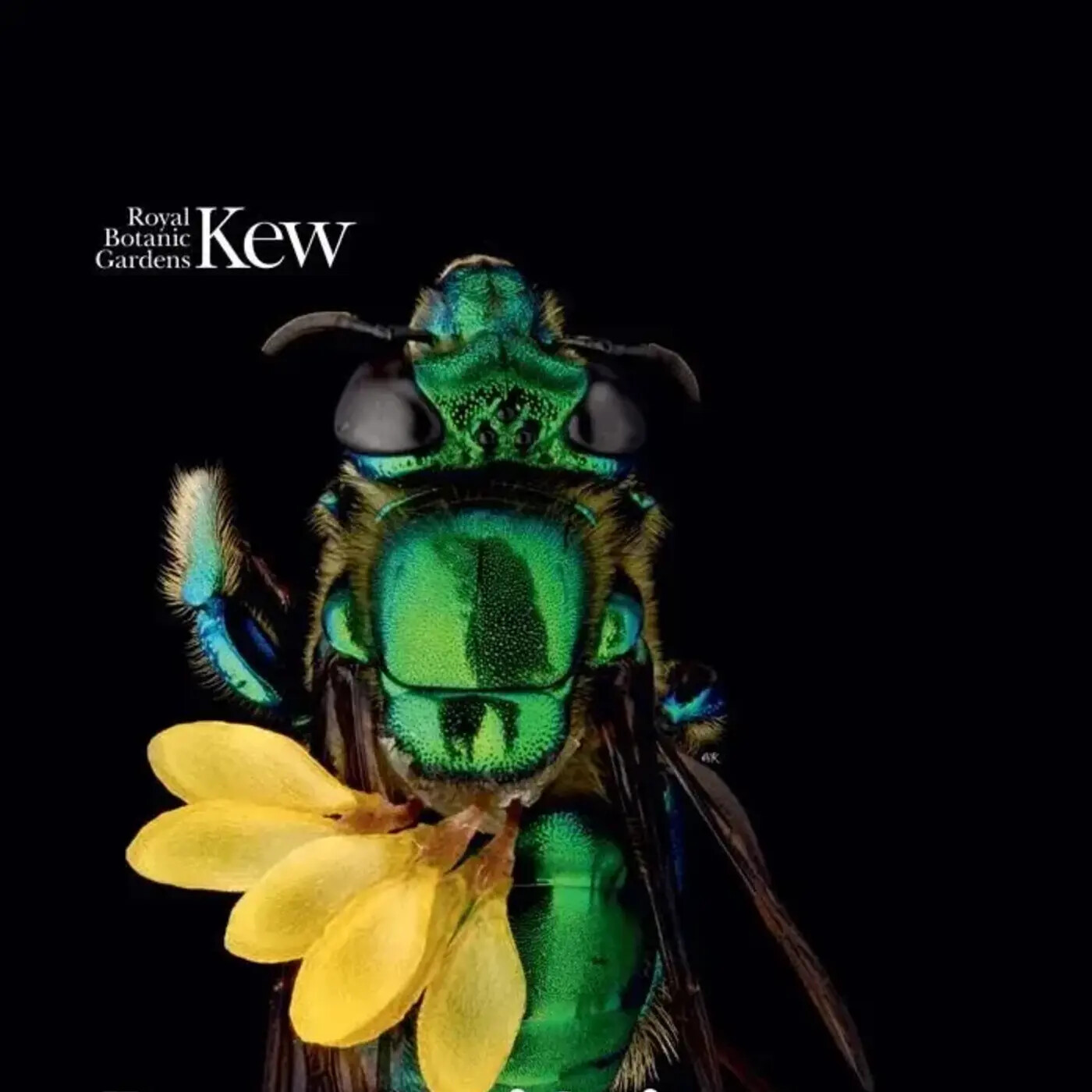 In Defense of Plants Podcast