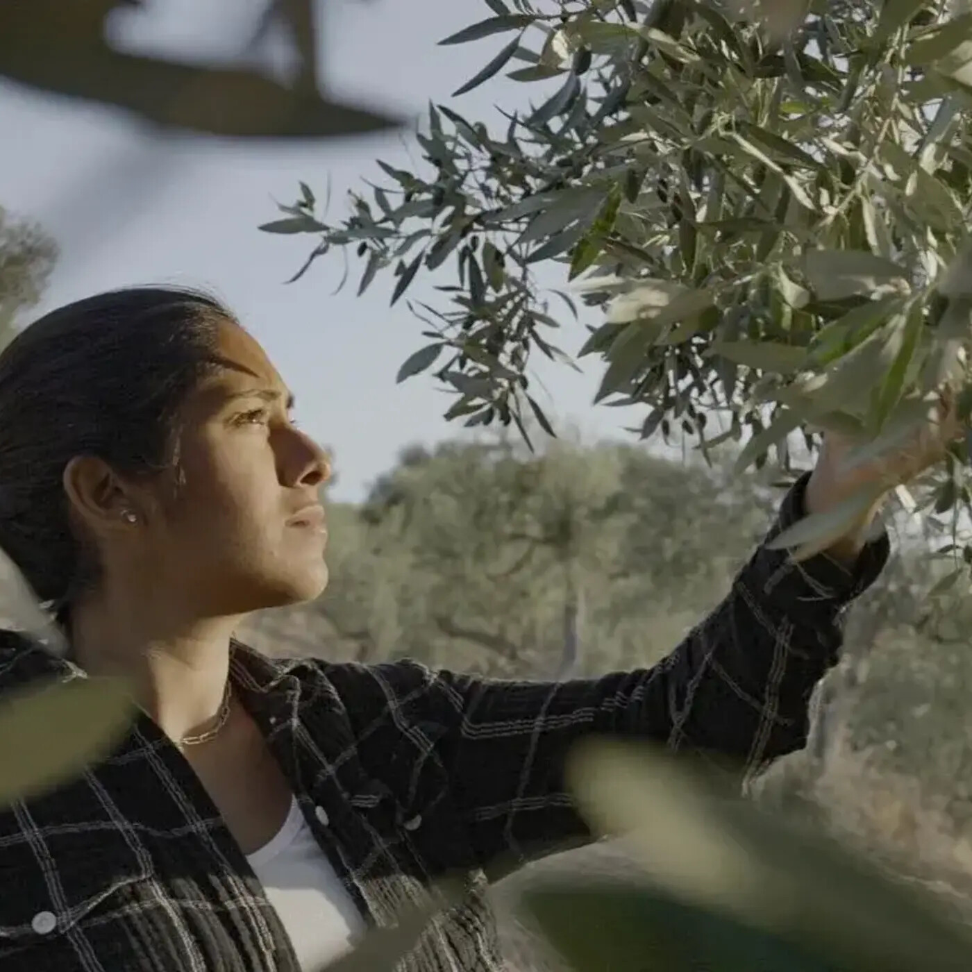 Episode 134: Sarela Herrada of SIMPLi Foods on Building Regenerative Supply Chains episode artwork