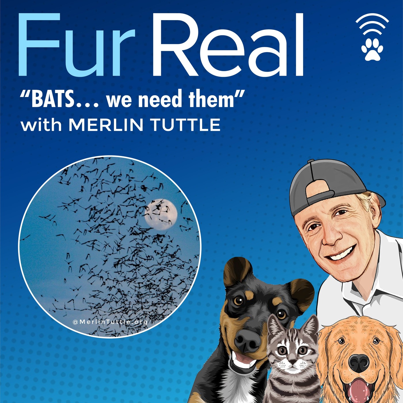 "BATS...we need them" with Merlin Tuttle