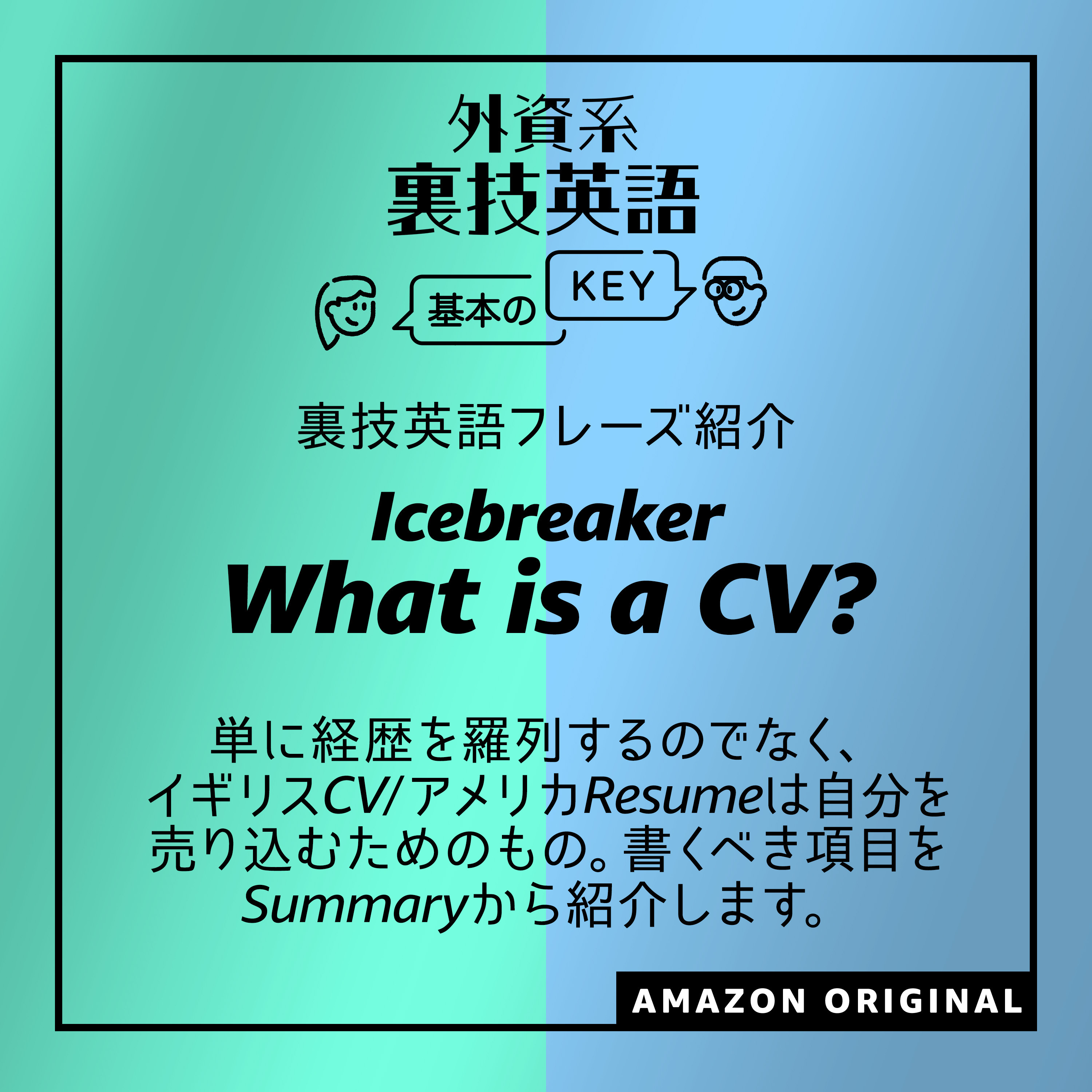 What is a CV? - Icebreaker