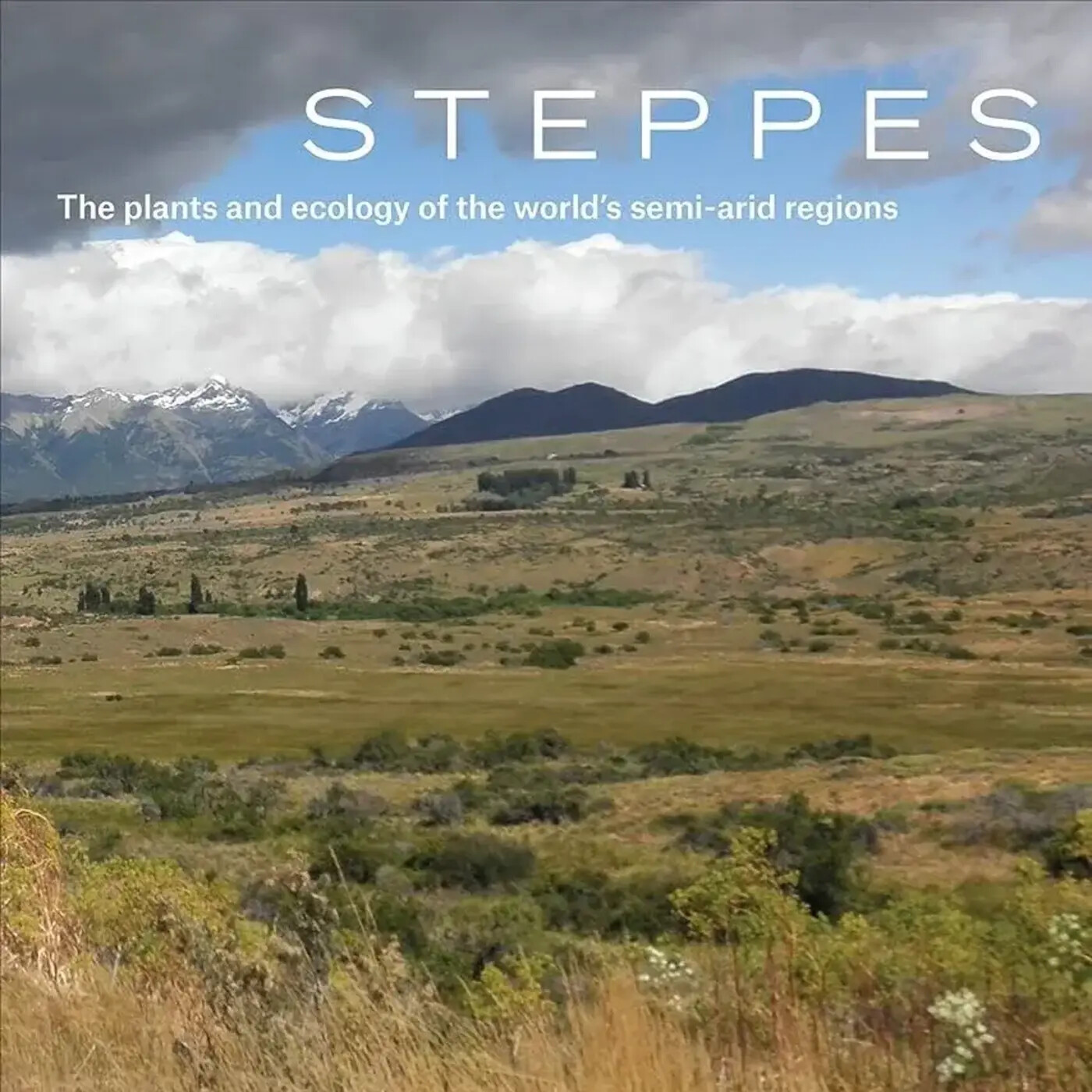 In Defense of Plants Podcast