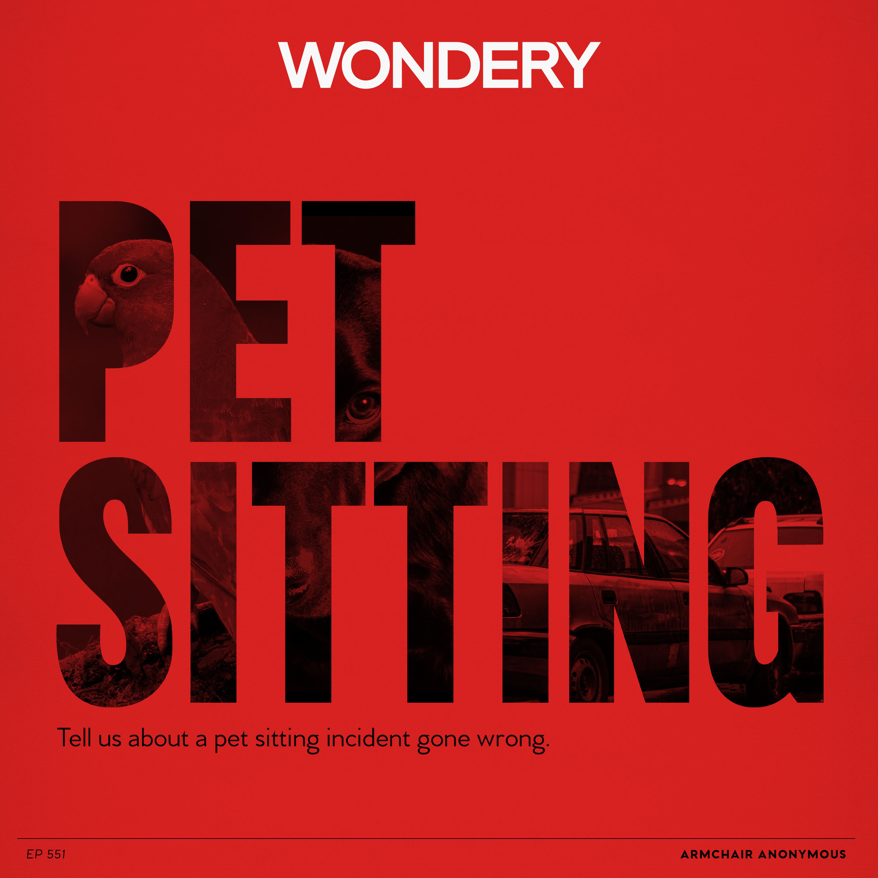 Armchair Anonymous: Pet Sitting