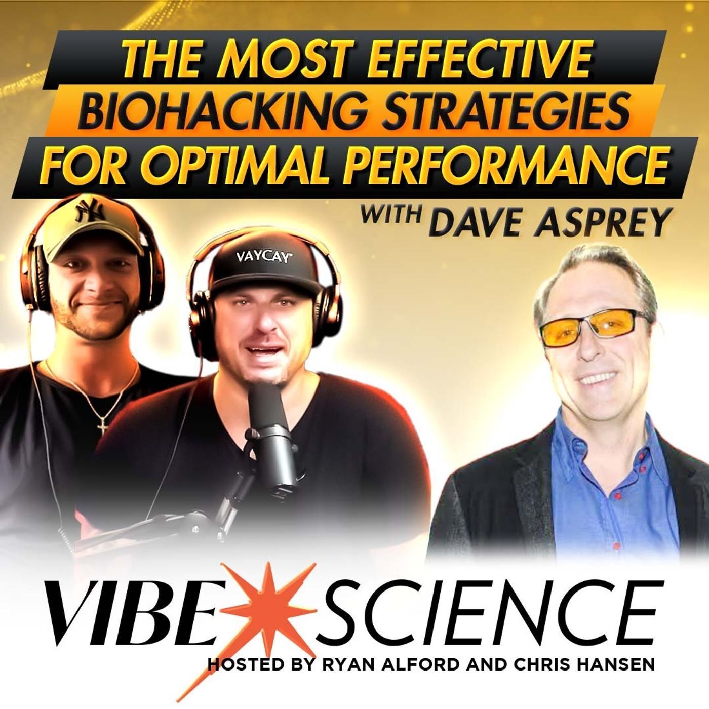 THE VIBE SCIENCE PODCAST
