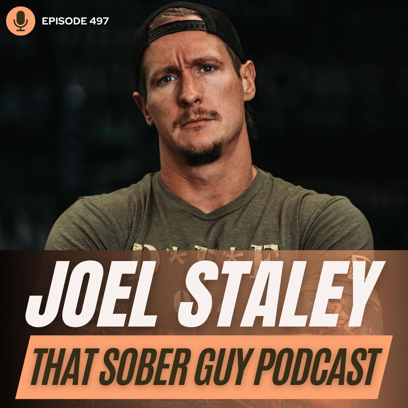 That Sober Guy Podcast