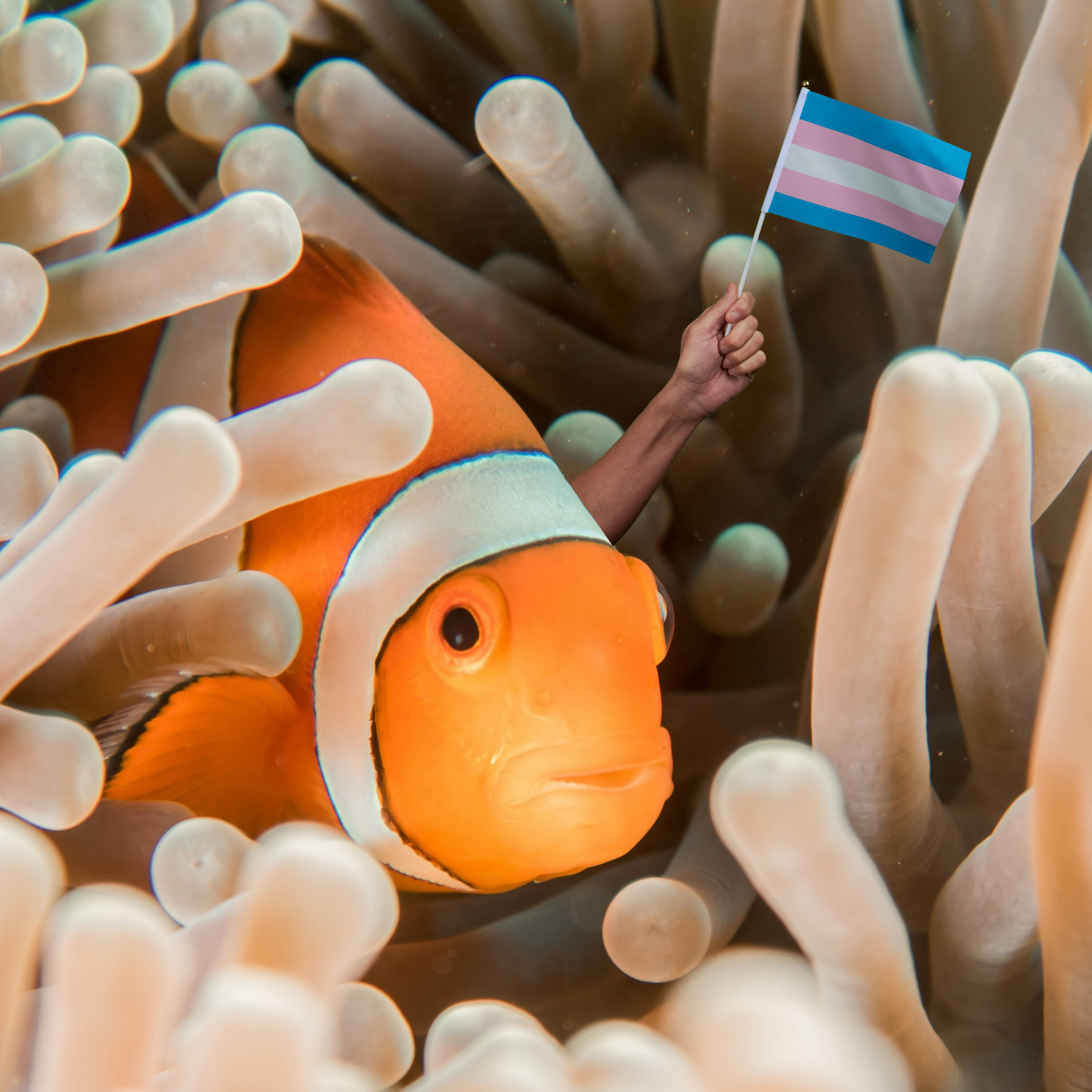 Cherenkov Radiation & Clownfish Polycules episode artwork