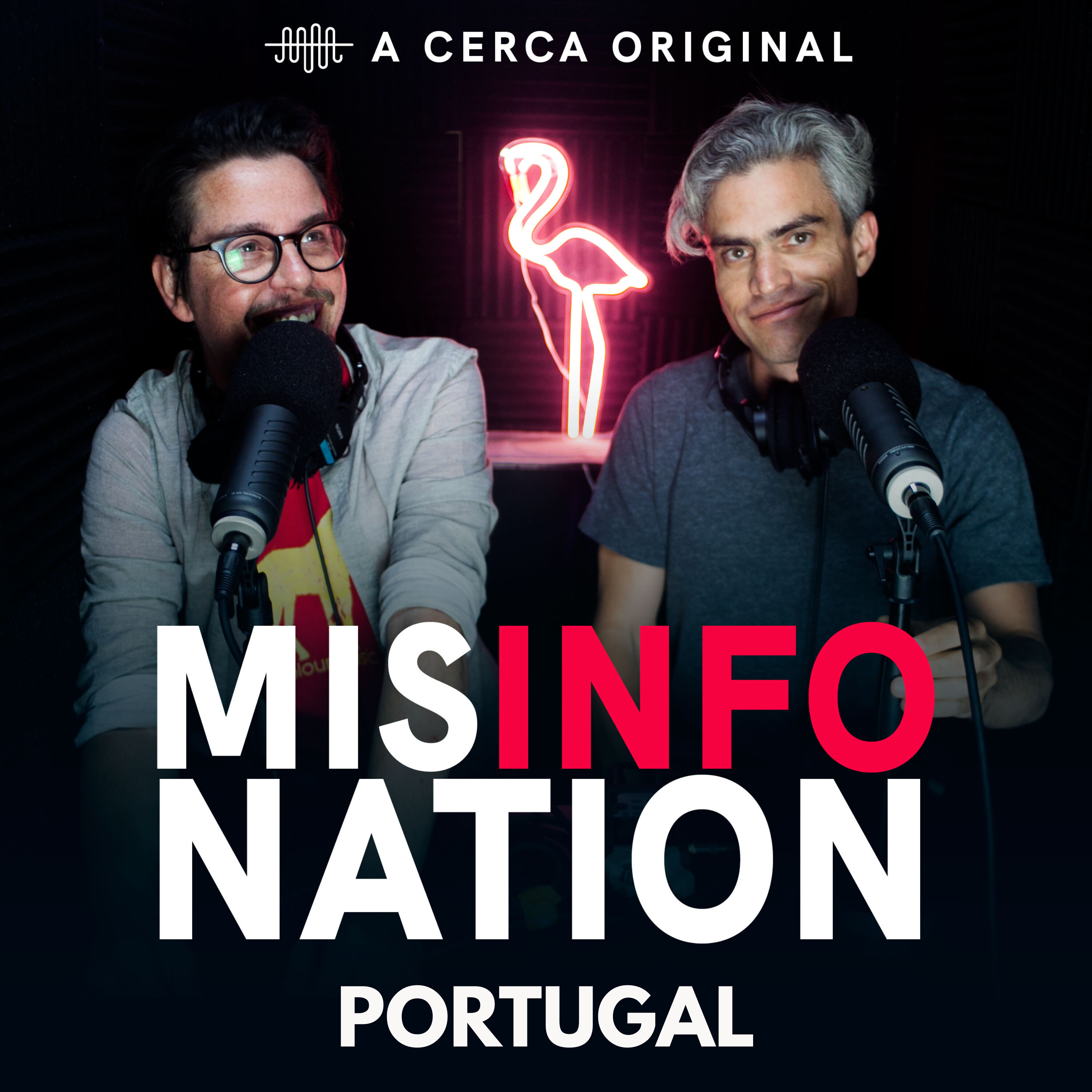 MisInfoNation