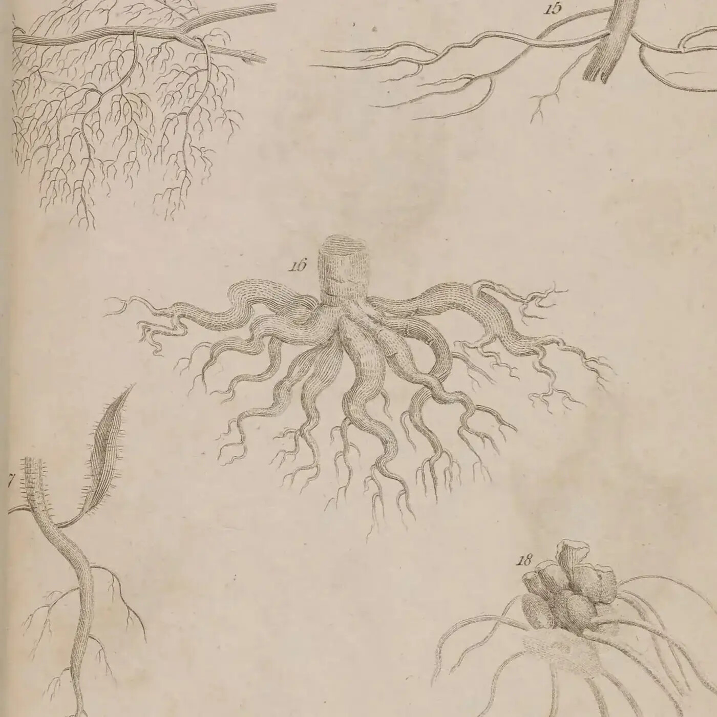 Ep. 400 - The Root of an Ancient Mass Extinction