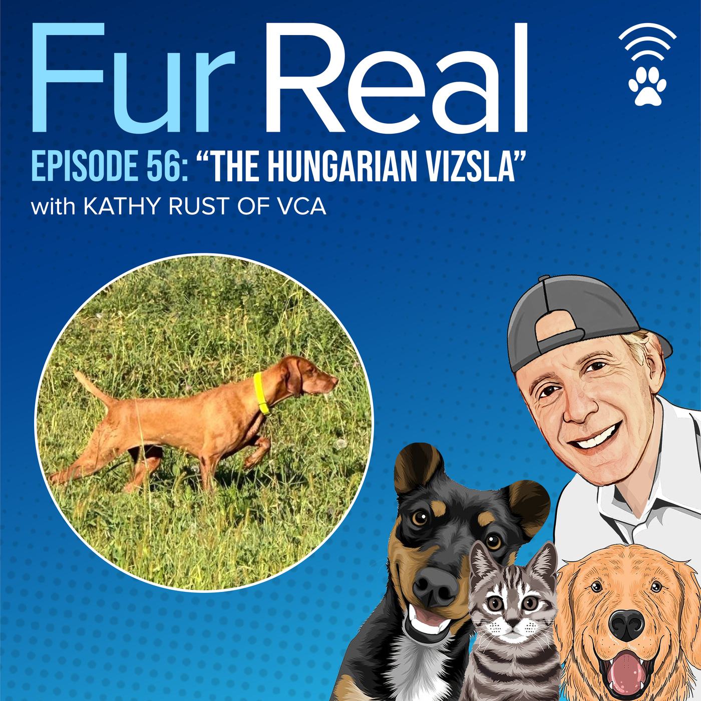 "THE HUNGARIAN VIZSLA" with Kathy Rust of VCA