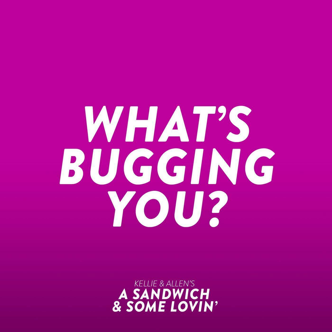 24: What's Bugging You? episode artwork