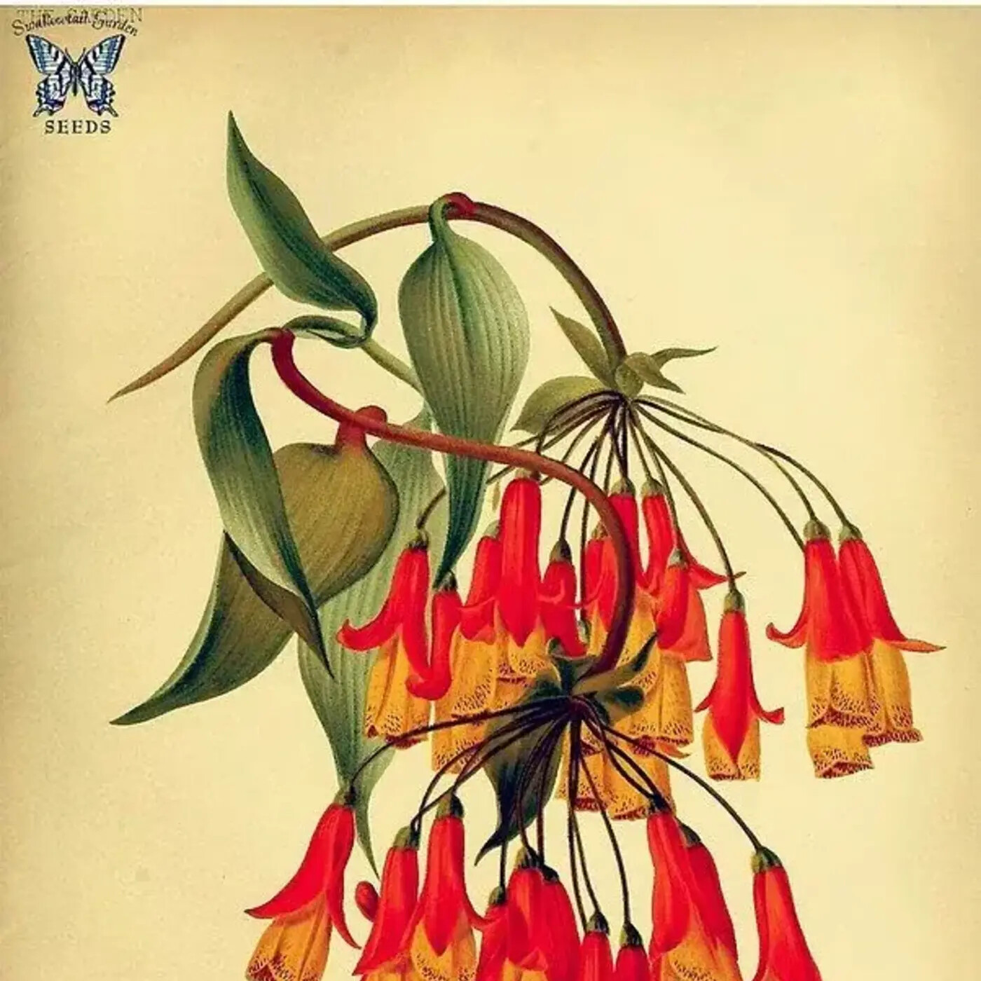 In Defense of Plants Podcast