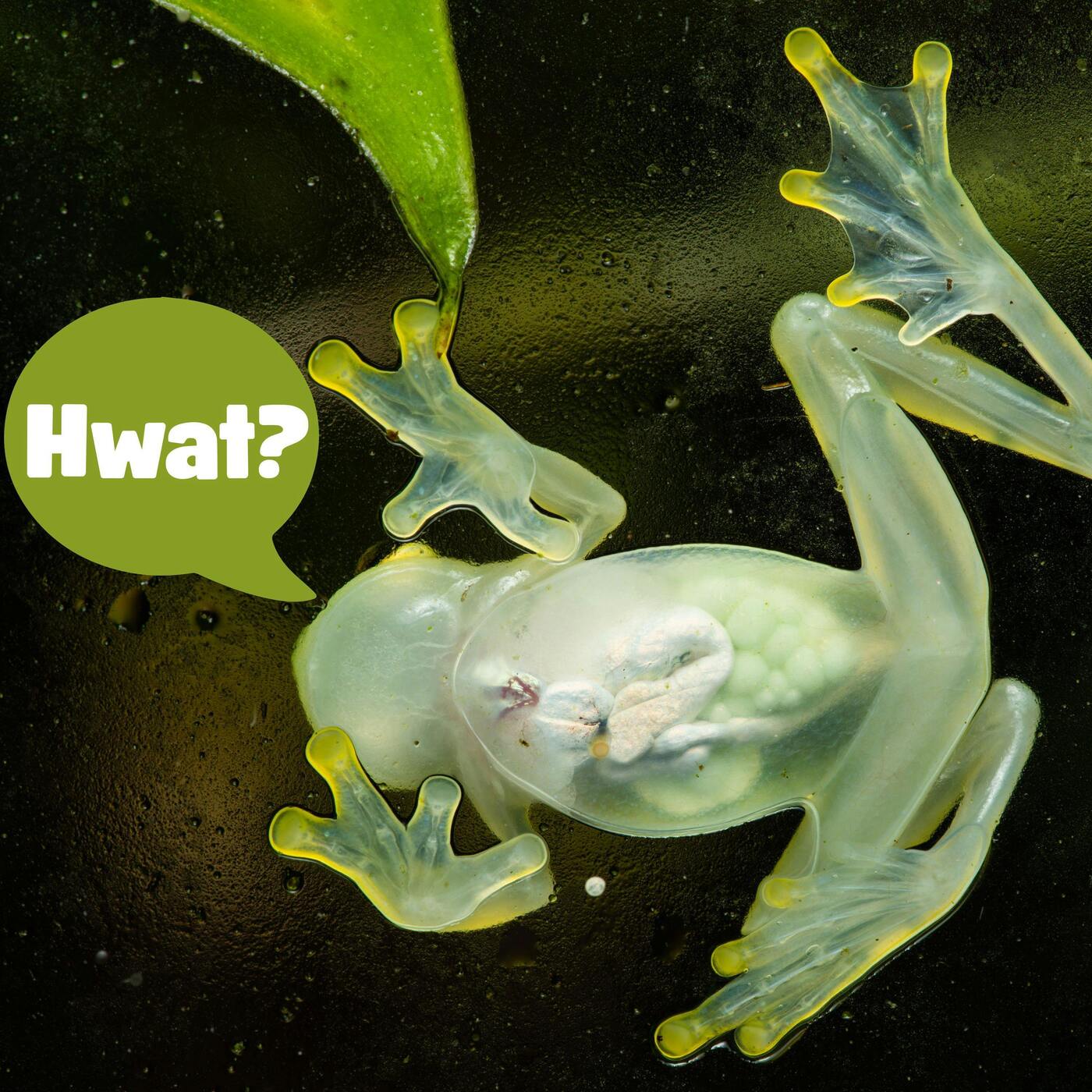 28: (Spooky Voice) Welcome to Denver!