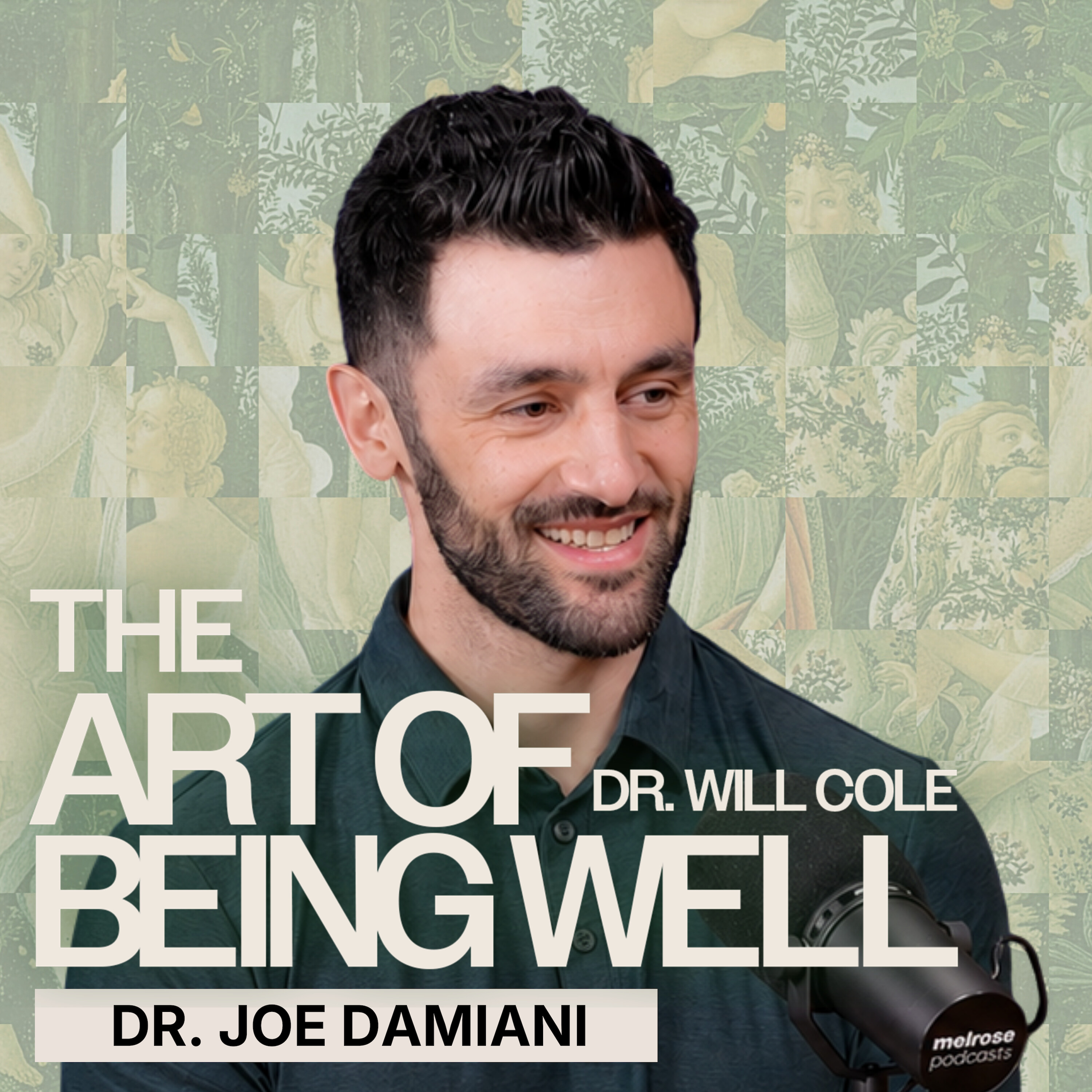TMJ, Brain Fog & Why Your Nervous System Is Keeping You In Pain | Dr. Joe Damiani