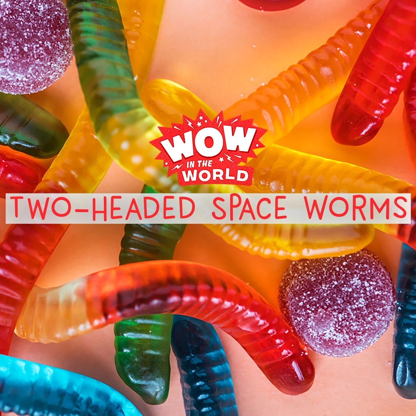 Two-Headed Space Worms (Encore - 2/19/18)