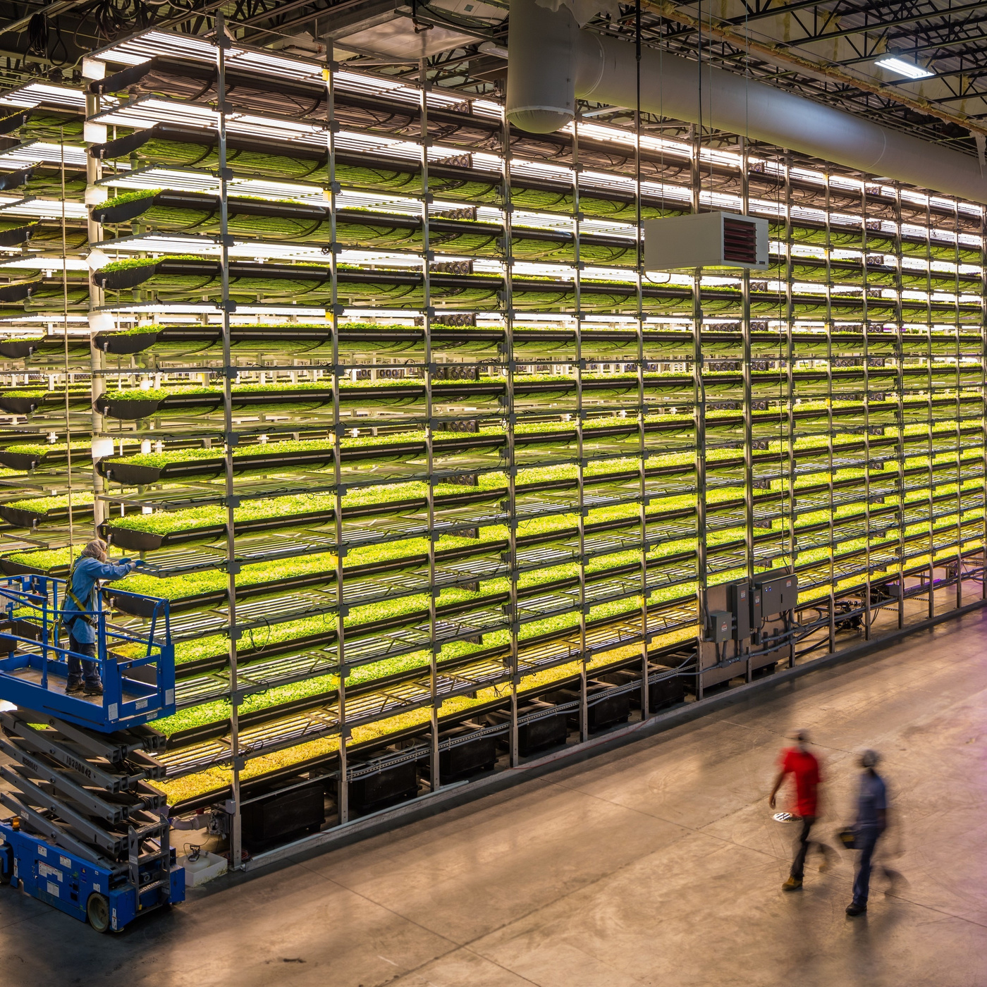 Episode 166: AeroFarms: Indoor Vertical Farming with Marc Oshima
