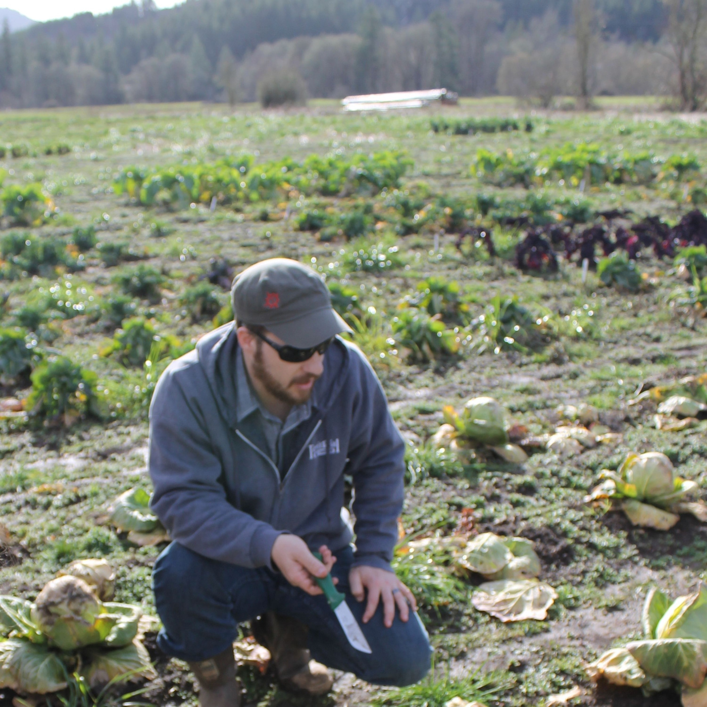 Episode 284: Inside a Seed Company with Territorial Seed