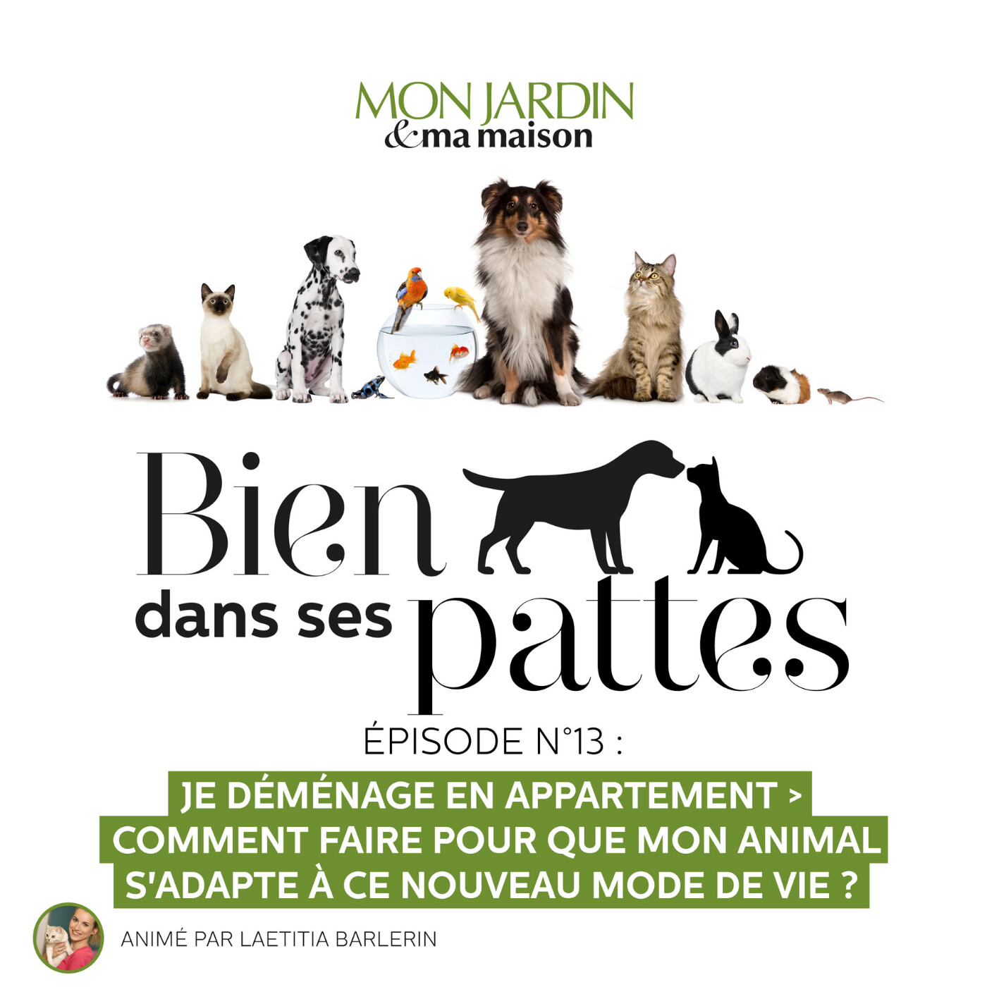 Je déménage ! Comment faire pour aider mon animal de compagnie à ce nouveau mode de vie ?