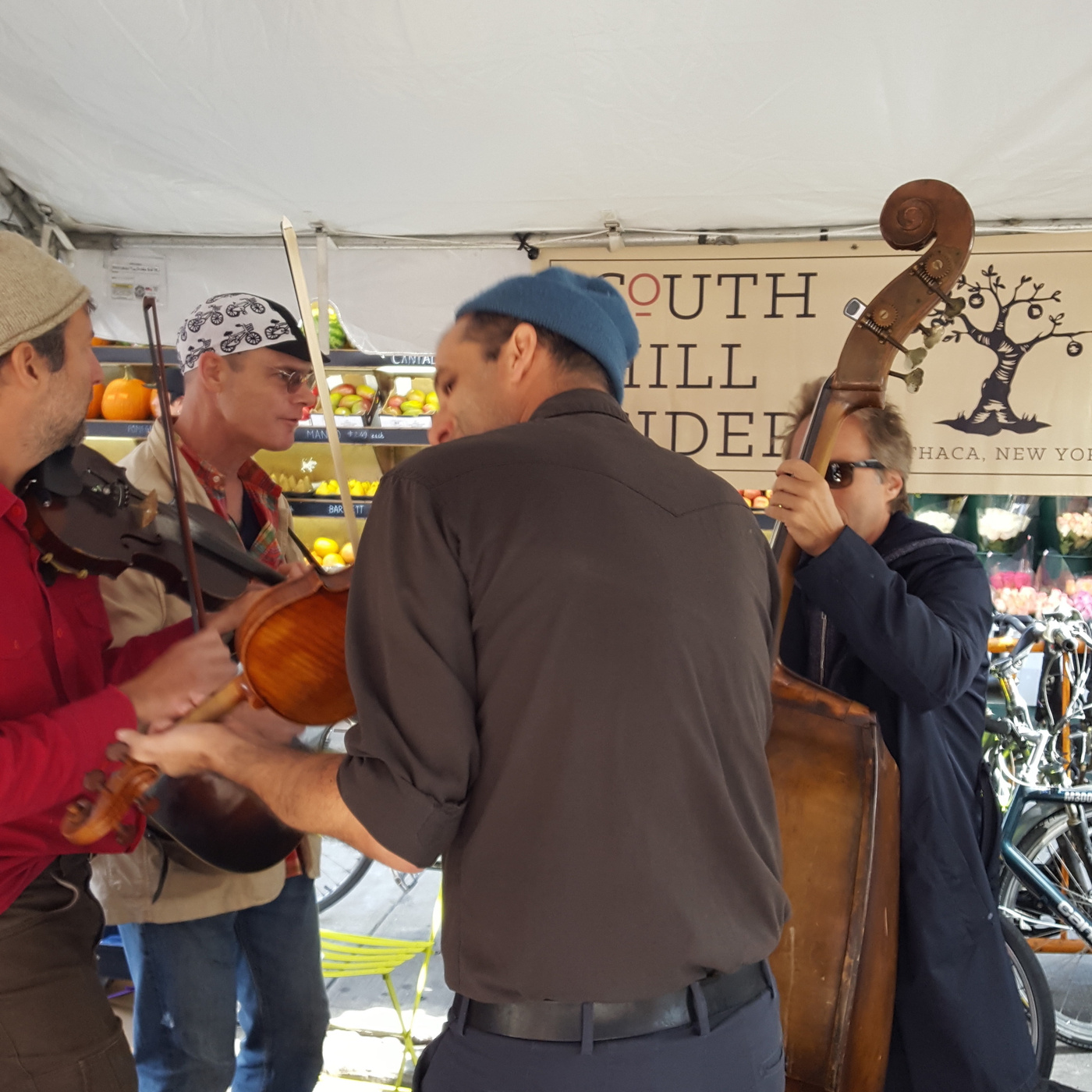 Episode 356: Cider Week NYC – Steve Selin of South Hill Cider episode artwork