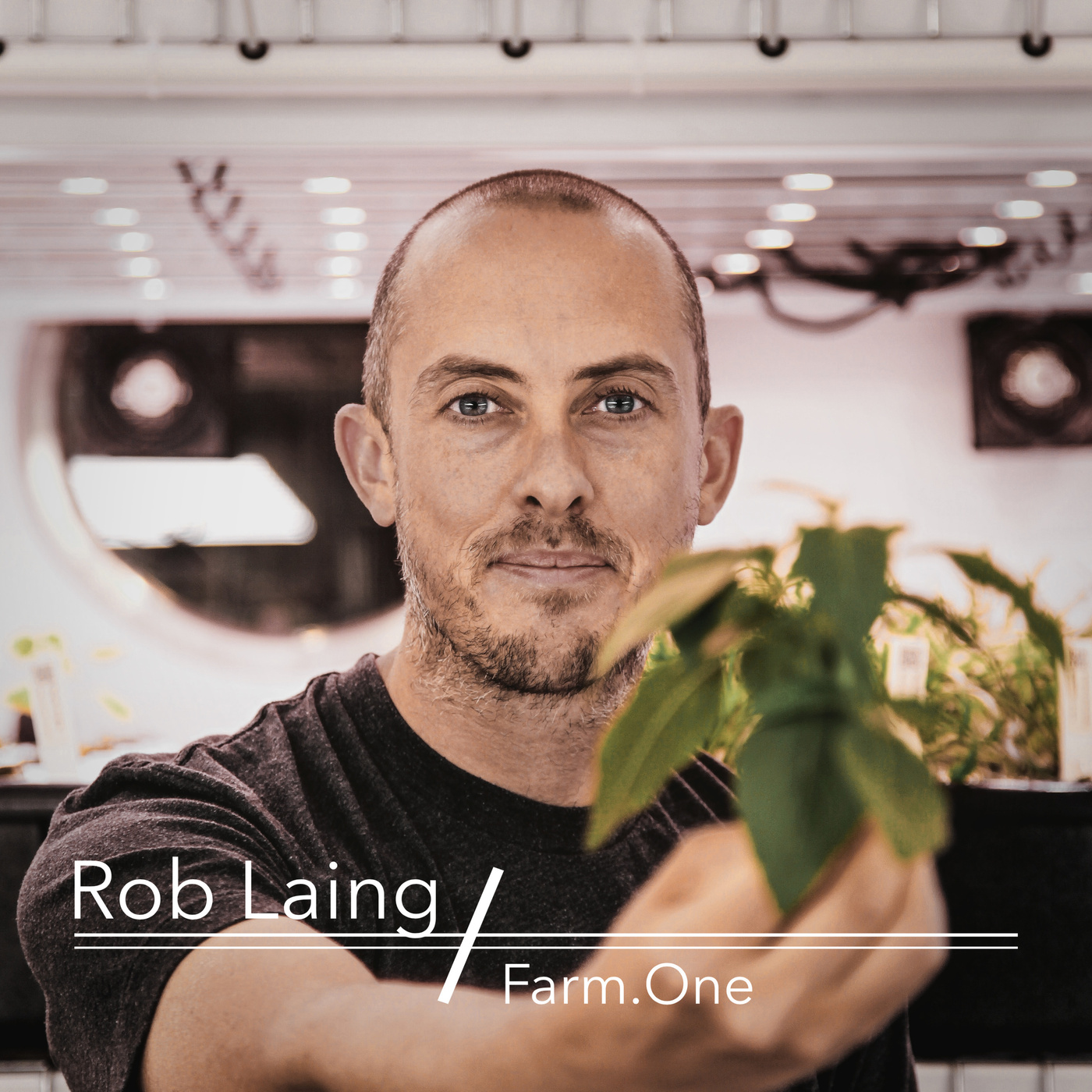 Episode 31: Rob Laing: Agricultural Innovation Within City Limits