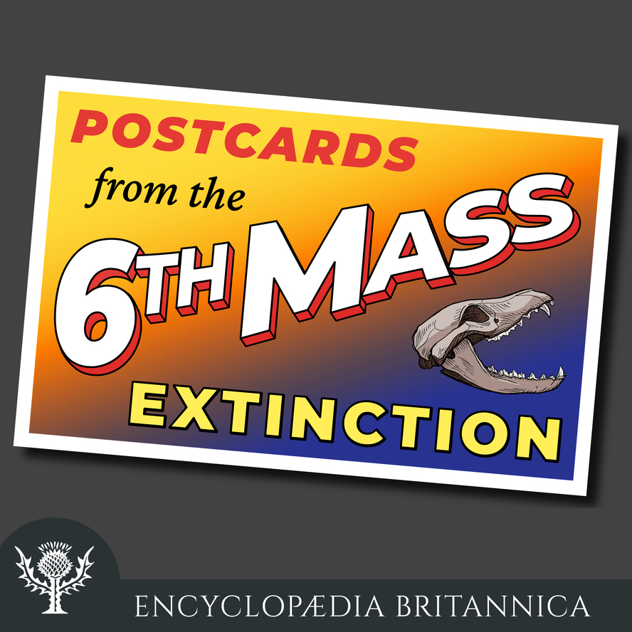 Extinction Definition Examples Britannica