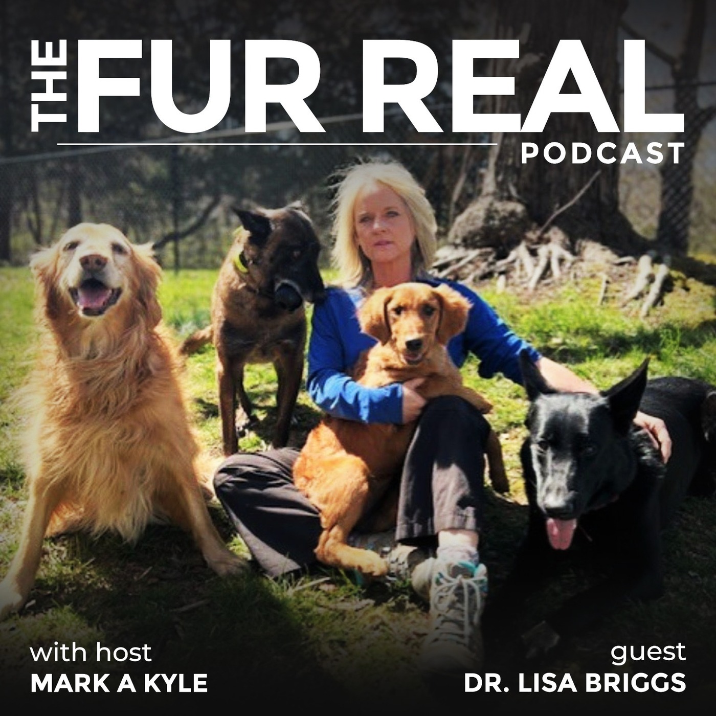 "CADAVER DOGS: MORE THAN A GOOD NOSE" with Dr. Lisa Briggs
