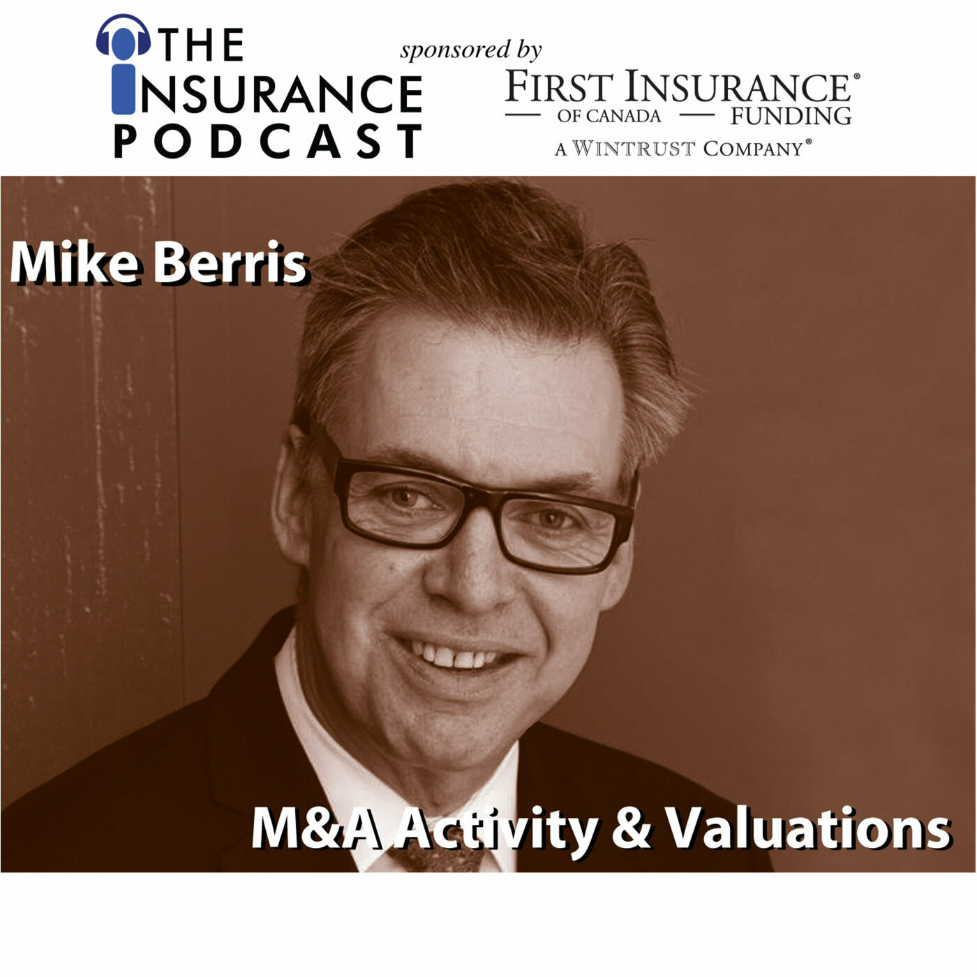 Mike Berris- M&A Activity and Valuations Image