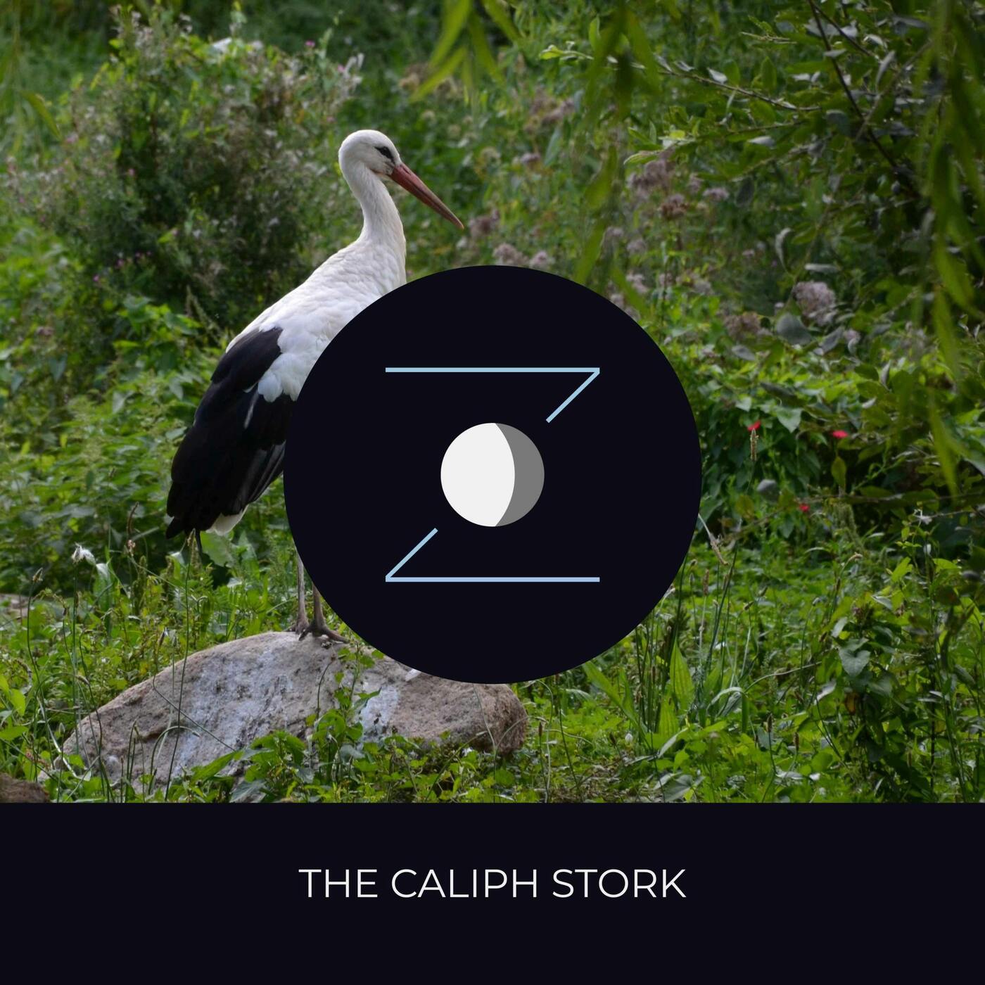 The Caliph Stork episode artwork