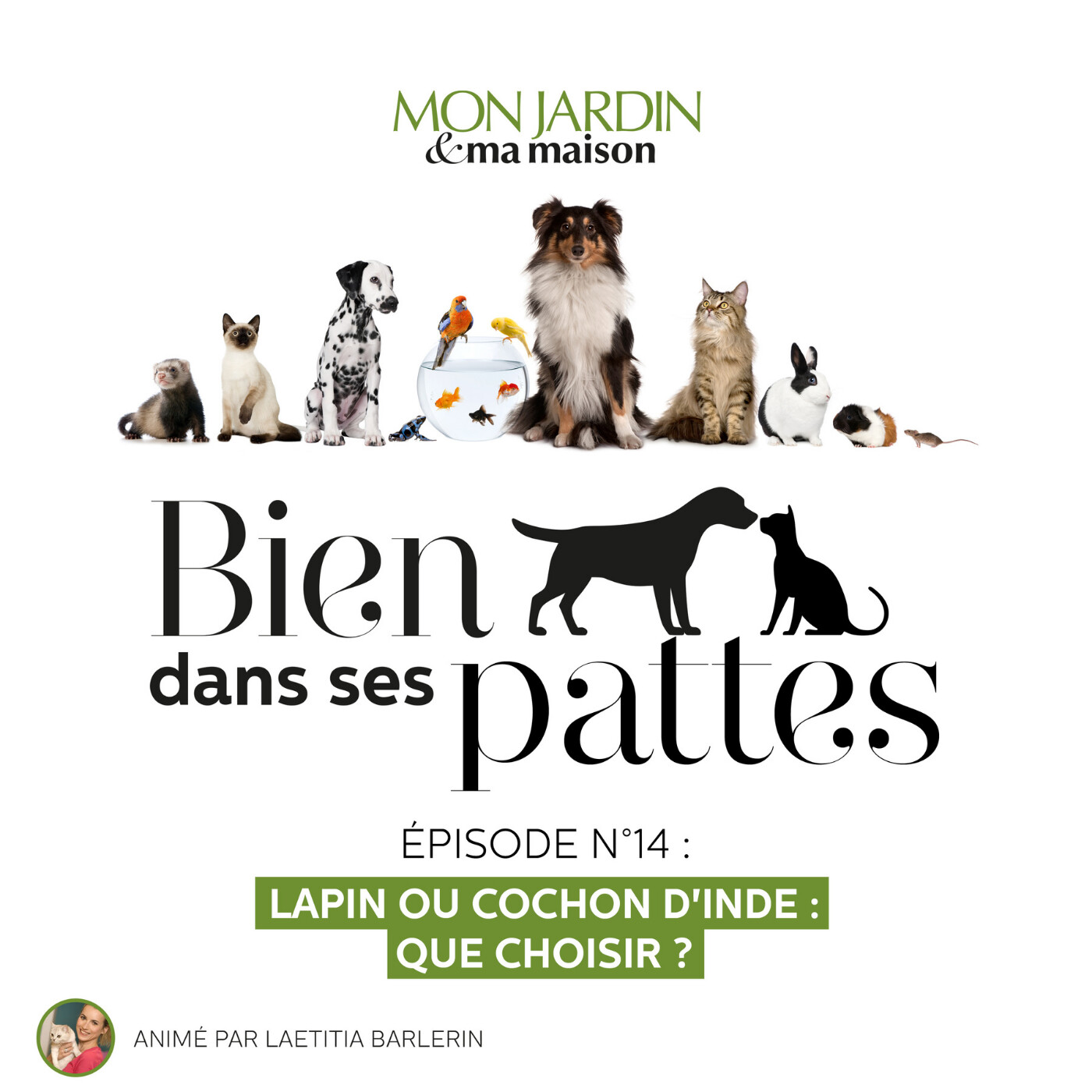Lapin ou cochon d'inde : que choisir ?