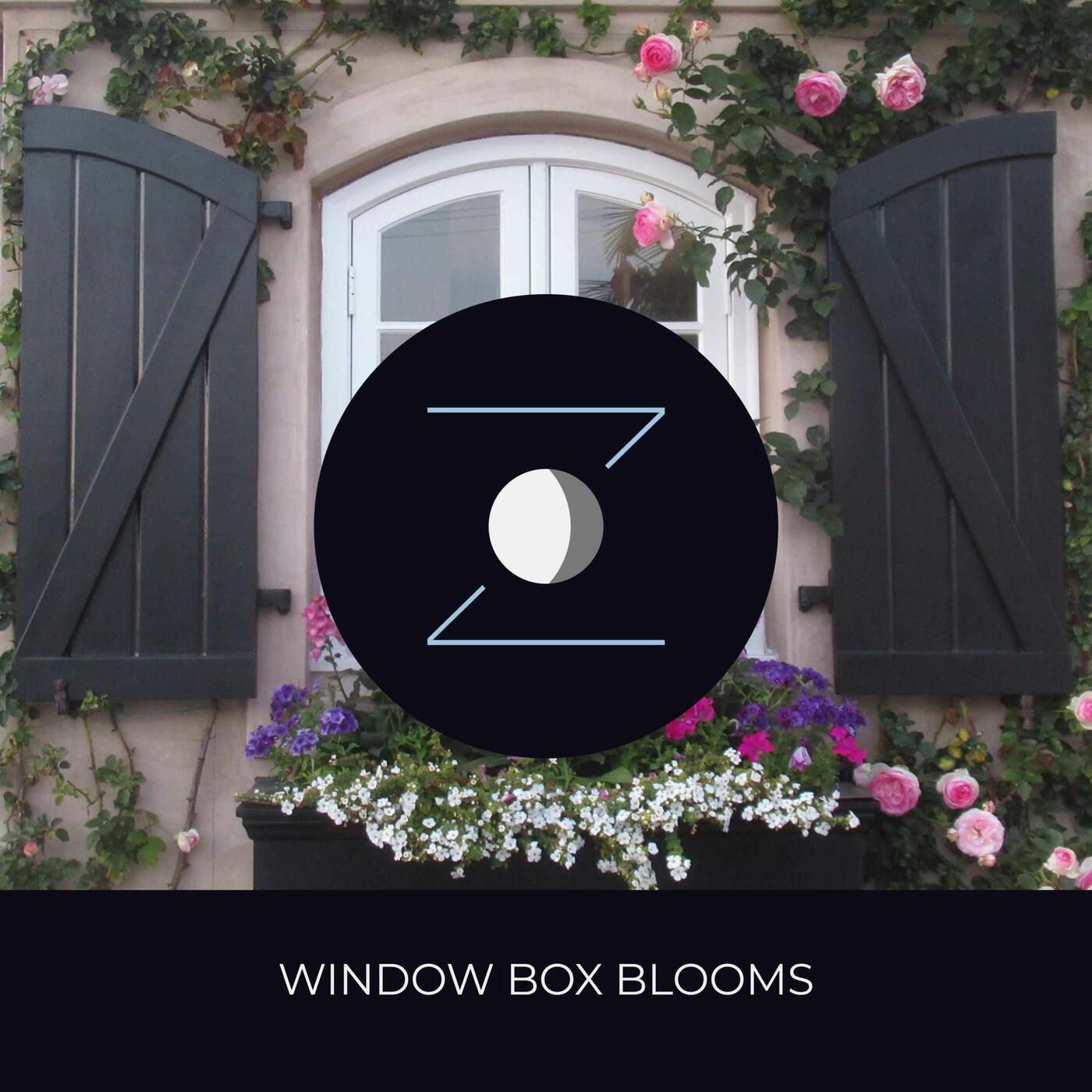 Window Box Blooms episode artwork