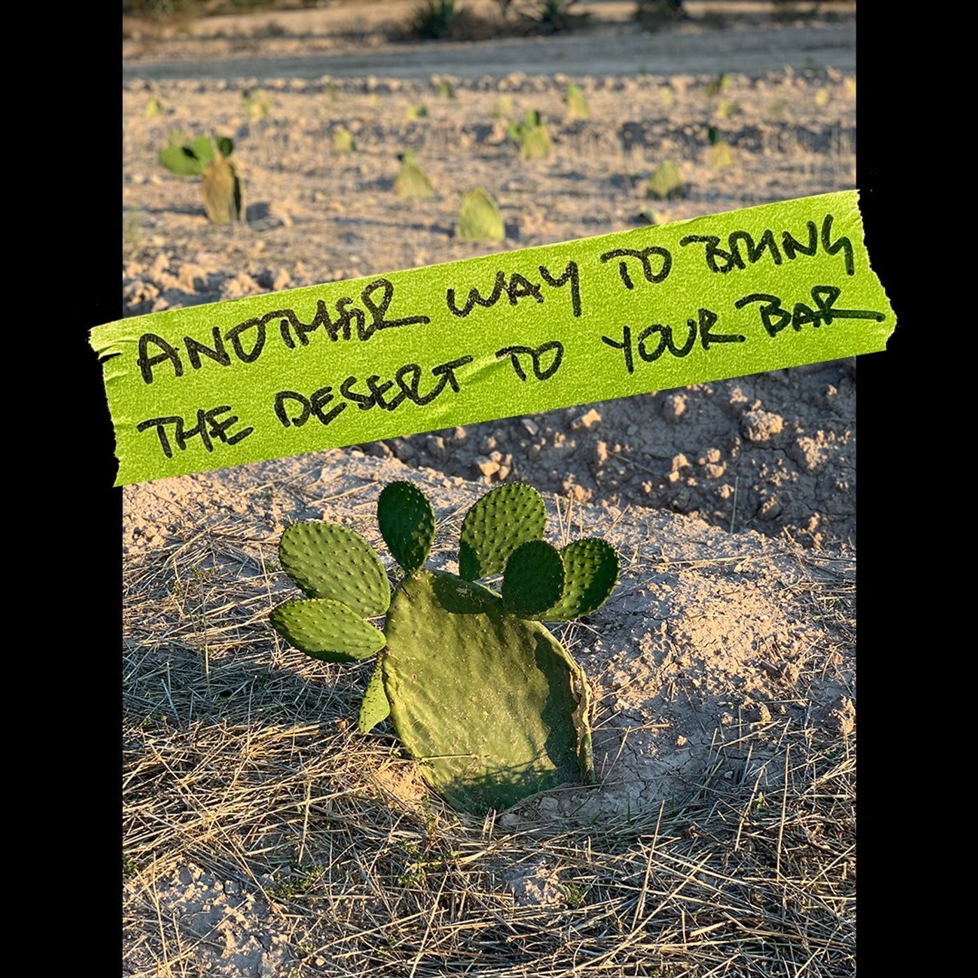 Another way to bring the desert to your bar