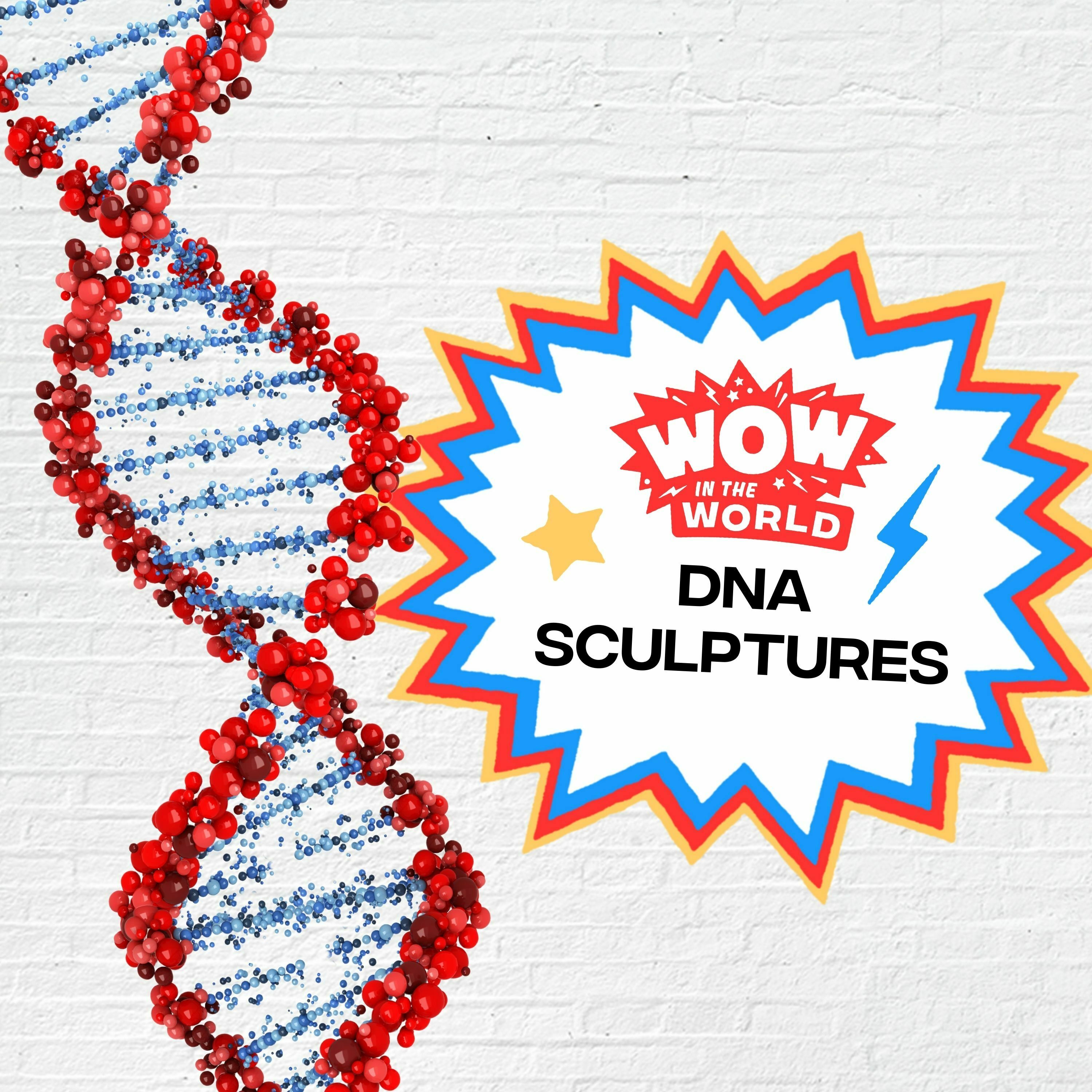 DNA Sculptures (4/10/23)