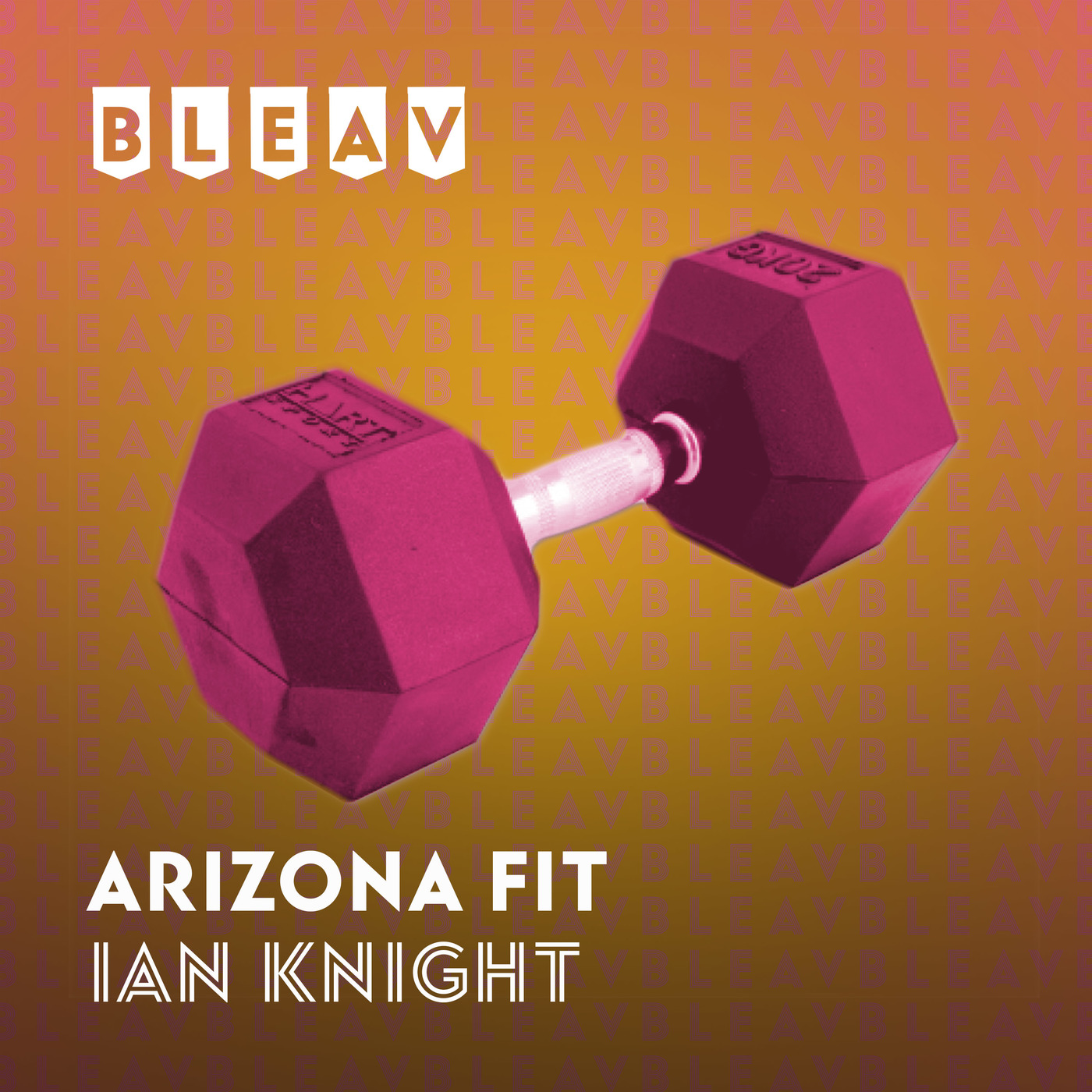 Bleav in The Business of Fitness