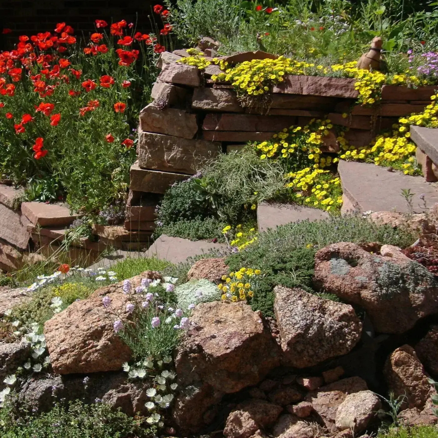 In Defense of Plants Podcast